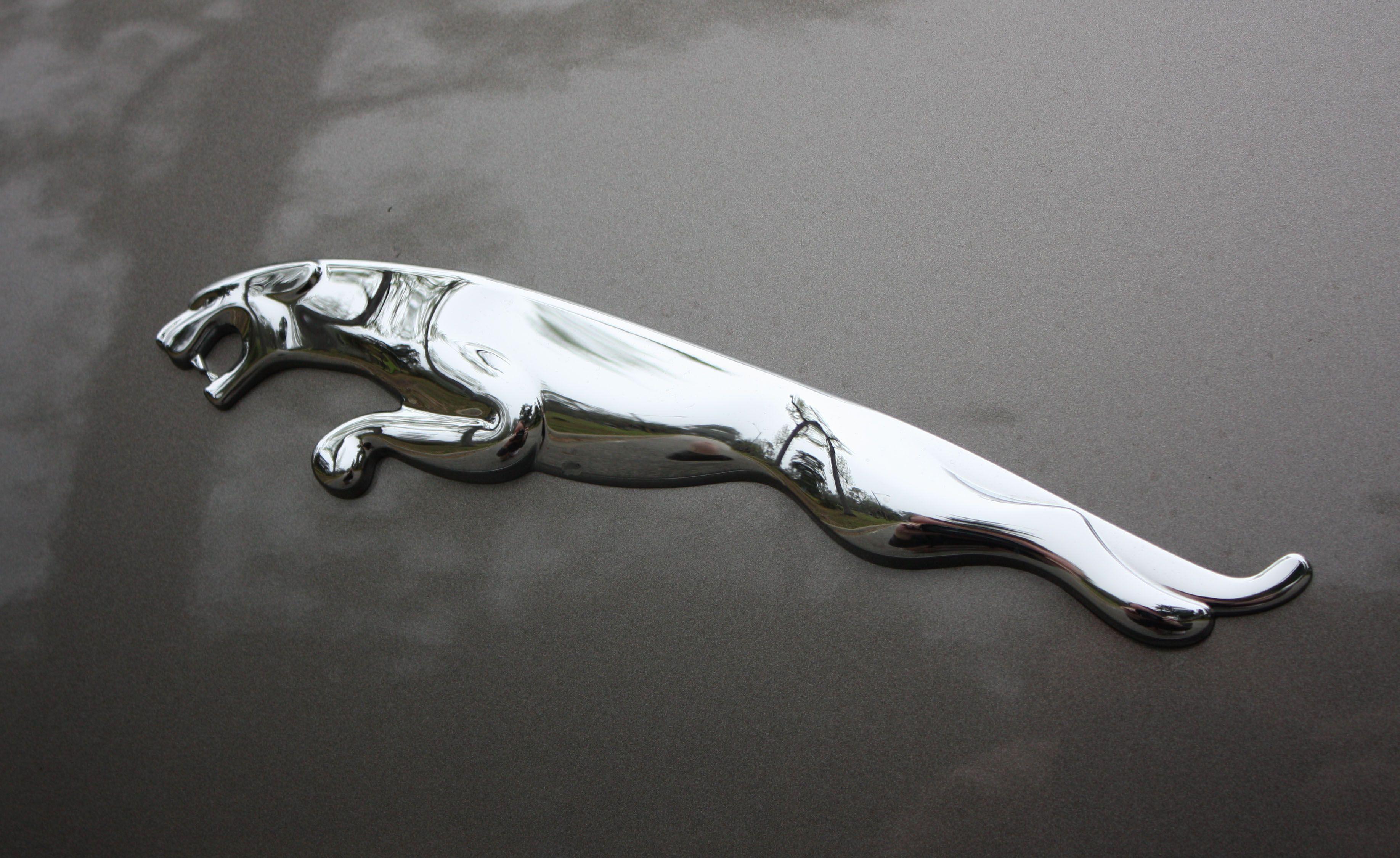 Jaguar Logo Wallpapers Wallpaper Cave