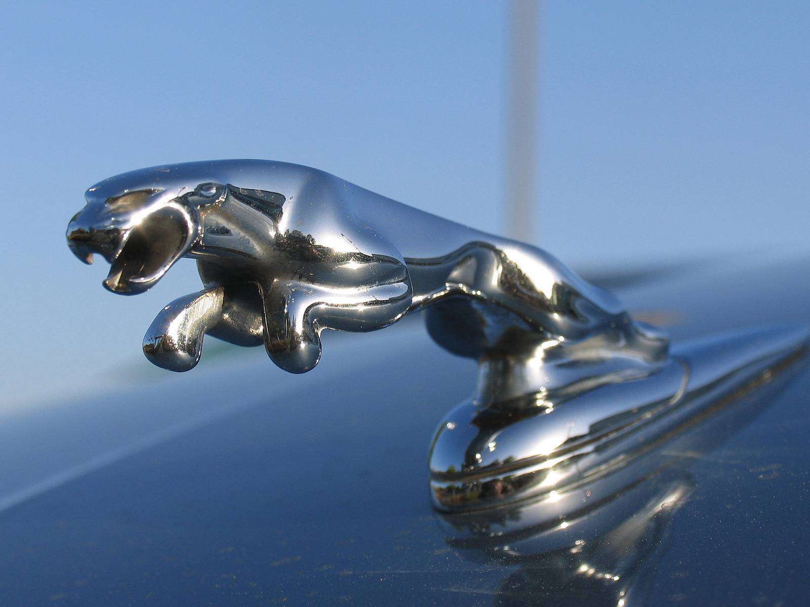 Jaguar Car Logo Images