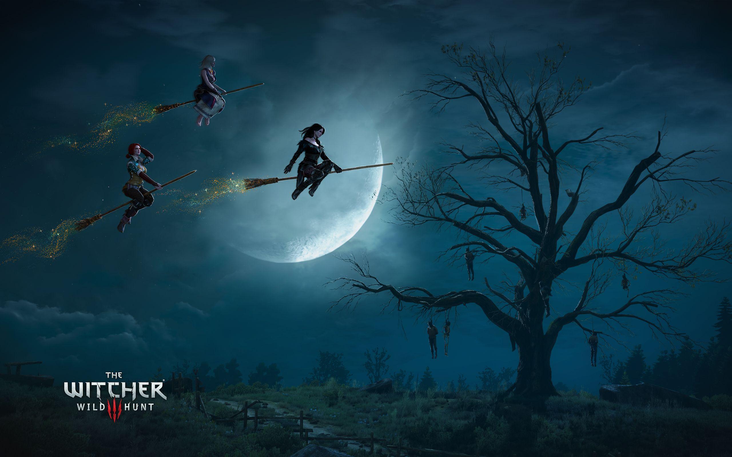 The Witcher 3 Wild Hunt Witches Wallpapers