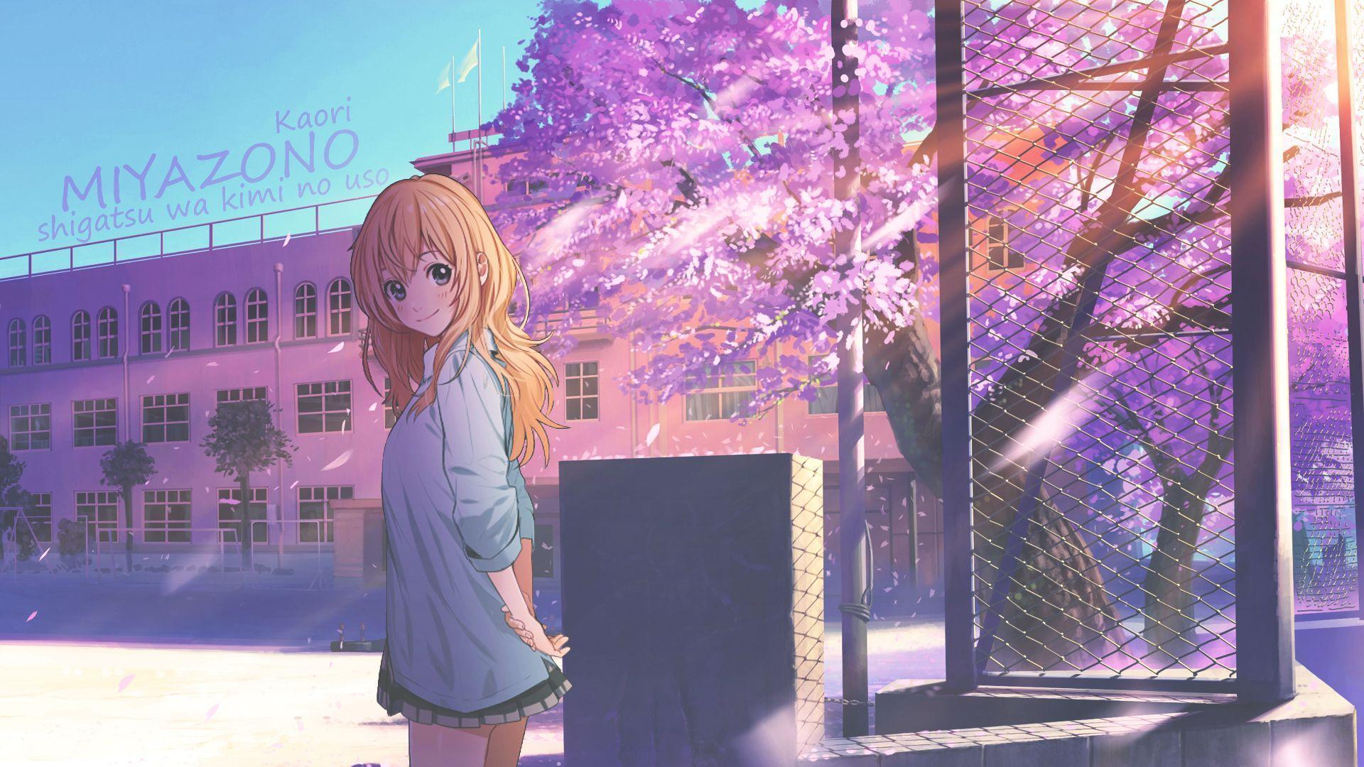 Wallpaper cat, girl, spring, garden, Sakura, Shigatsu wa Kimi no Uso, Your  April lie for mobile and desktop, section сёдзё, resolution 1920x1440 -  download