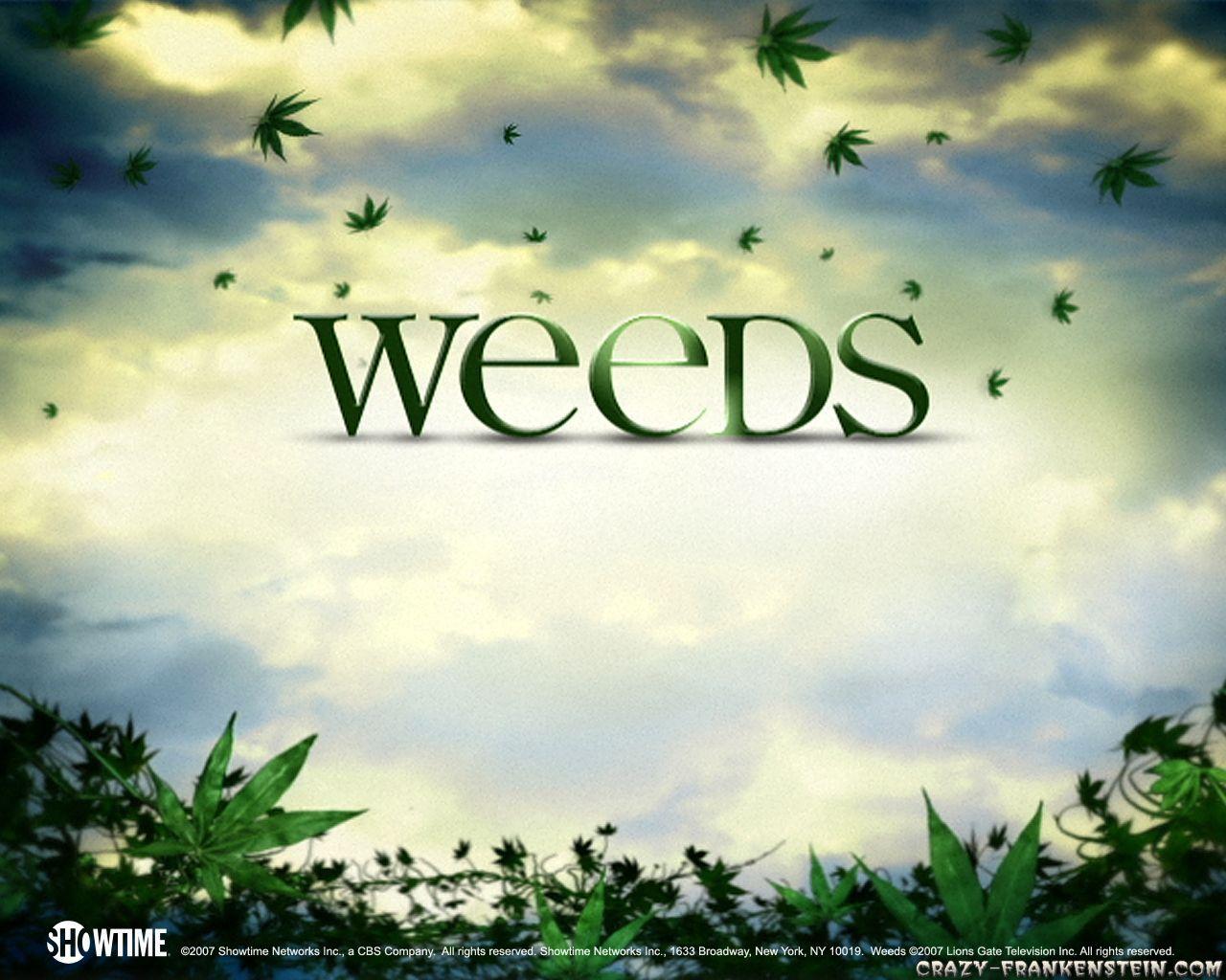 Best weed wallpaper