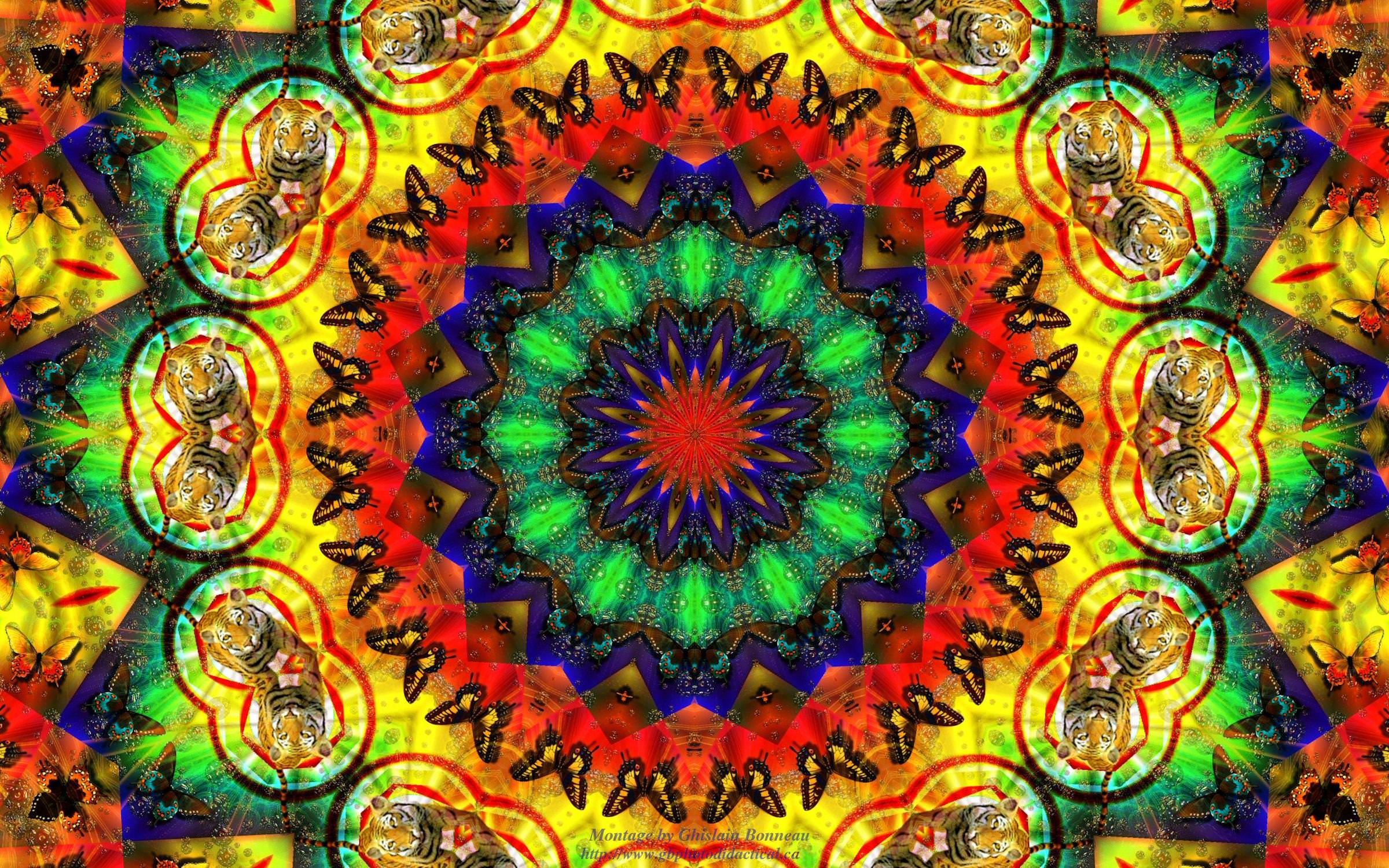 Hippie Background, Wallpaper, Image, Picture