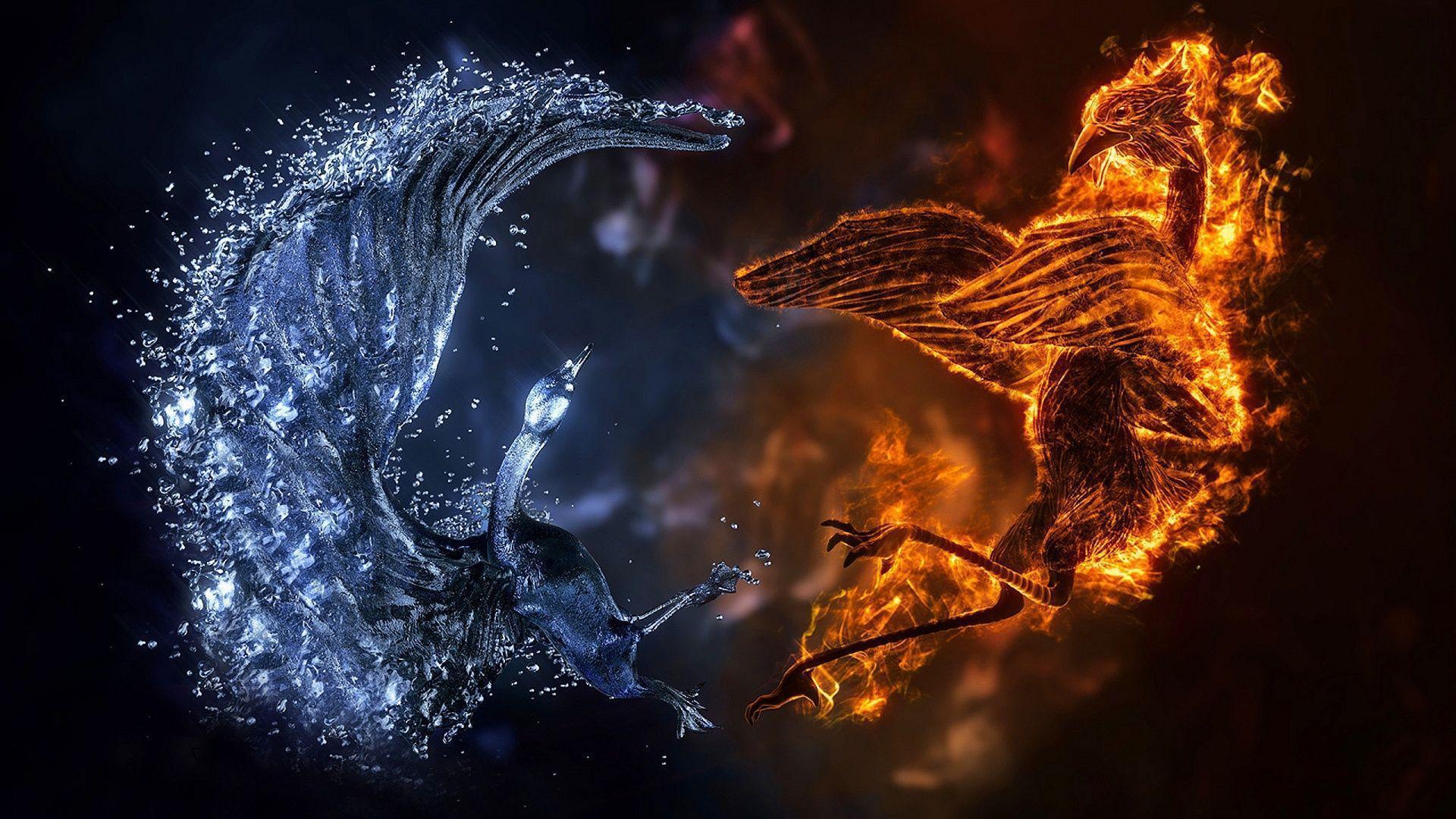 Fight Fire Ice Orange Blue 8K Wallpaper - Best Wallpapers