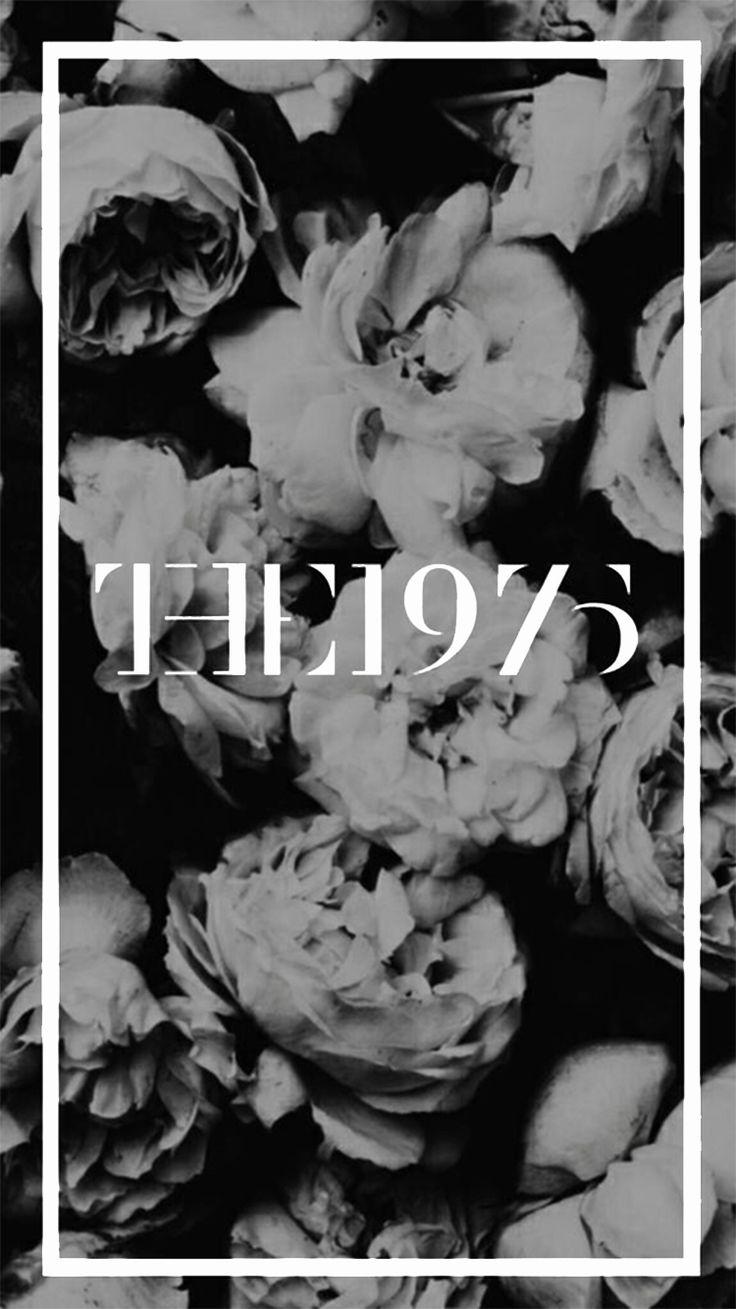 the 1975 wallpapers