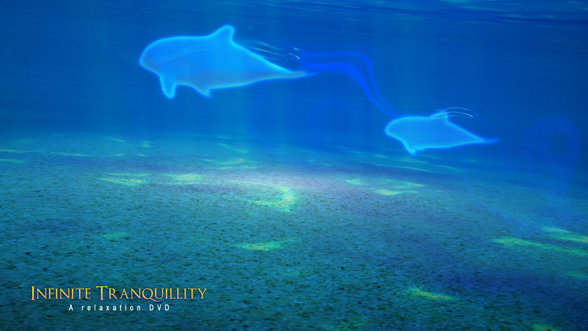 Infinite Tranquility. Download relaxation wallpaper