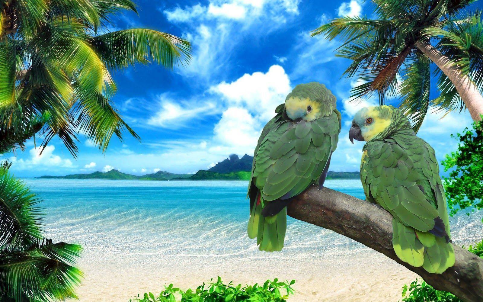 Green Parrots Wallpaper