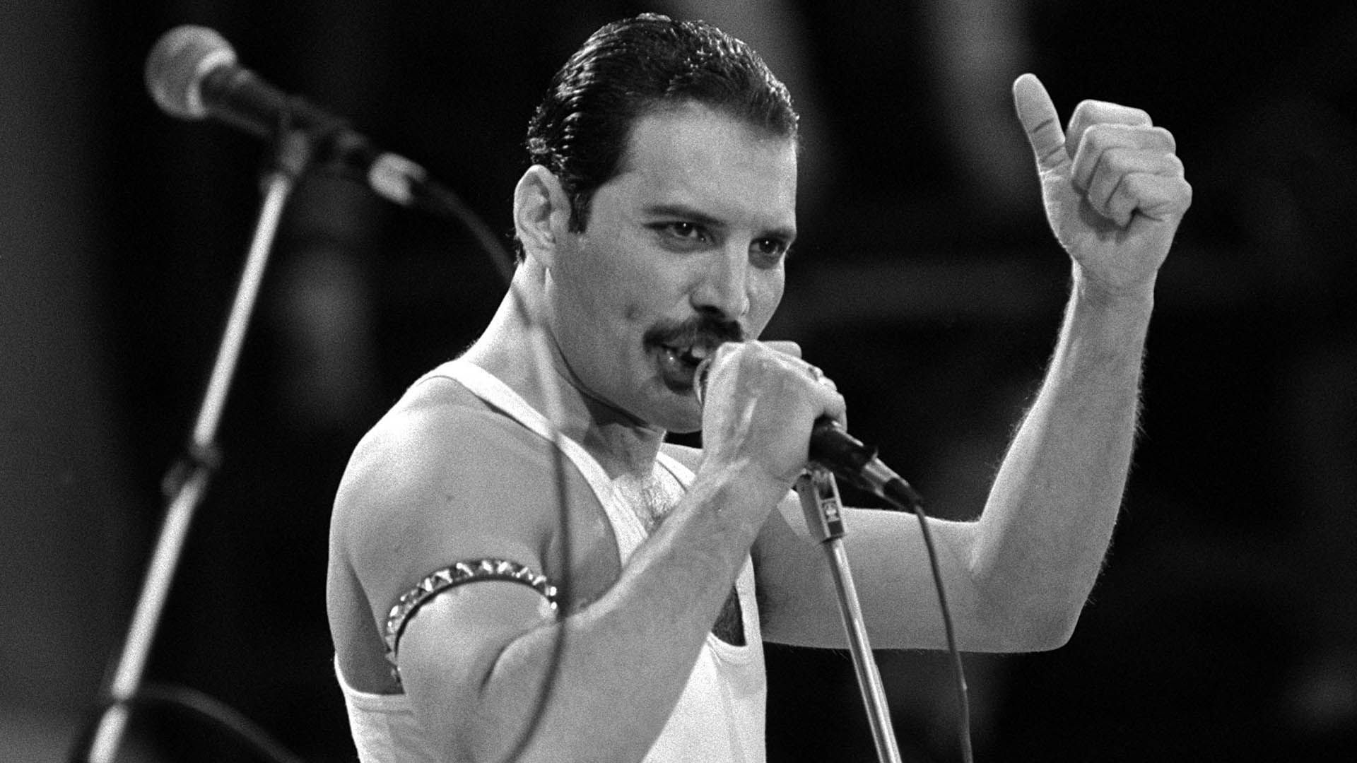 Freddie Mercury Wallpaper HD