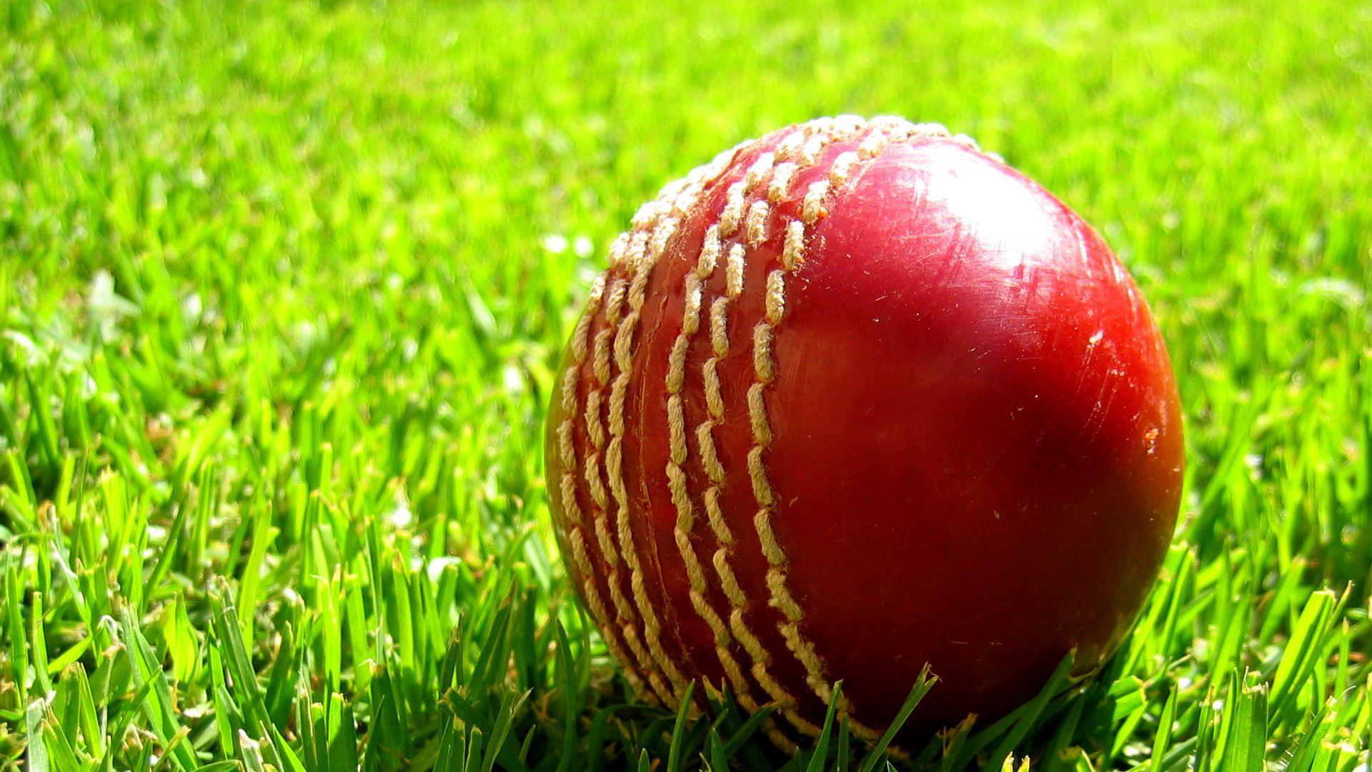 Cricket Wallpaper Wallpaper Background of Your Choice
