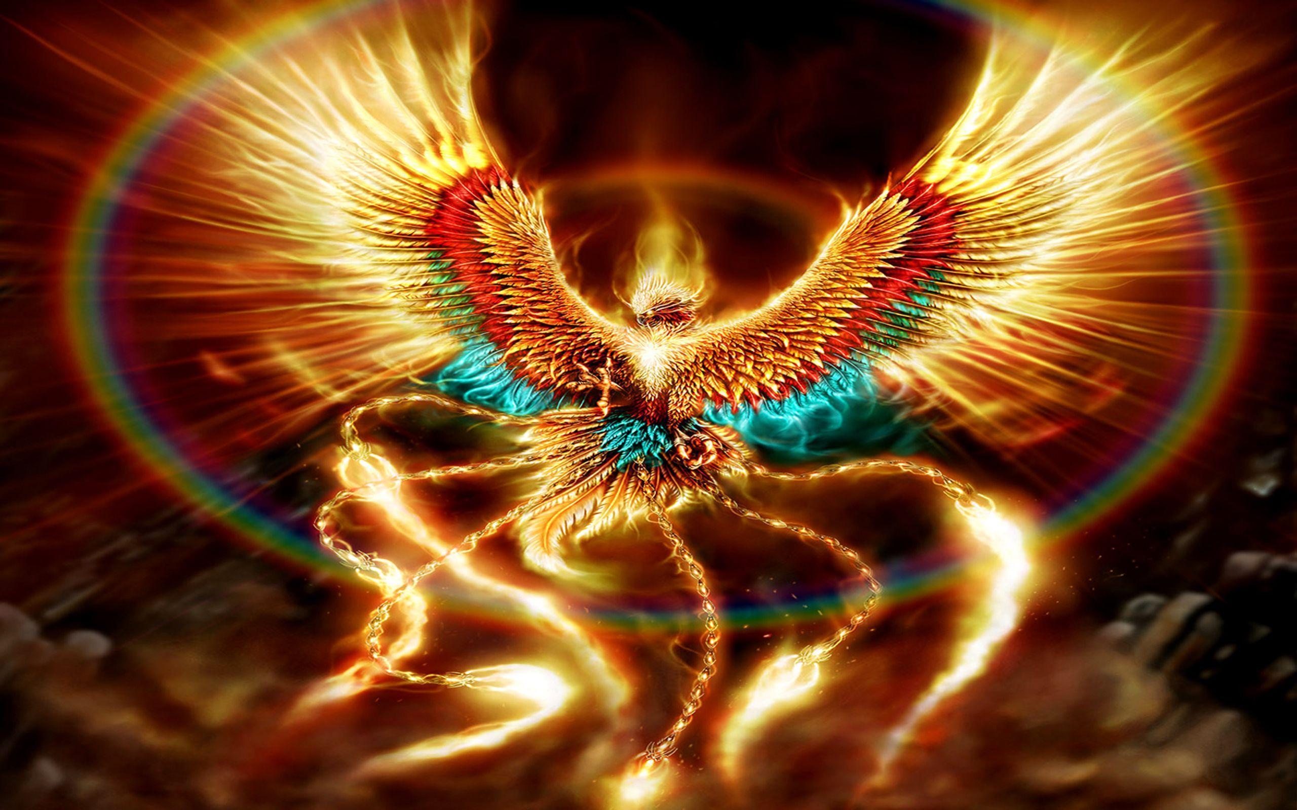 Fantasy Phoenix HD Wallpaper and Background
