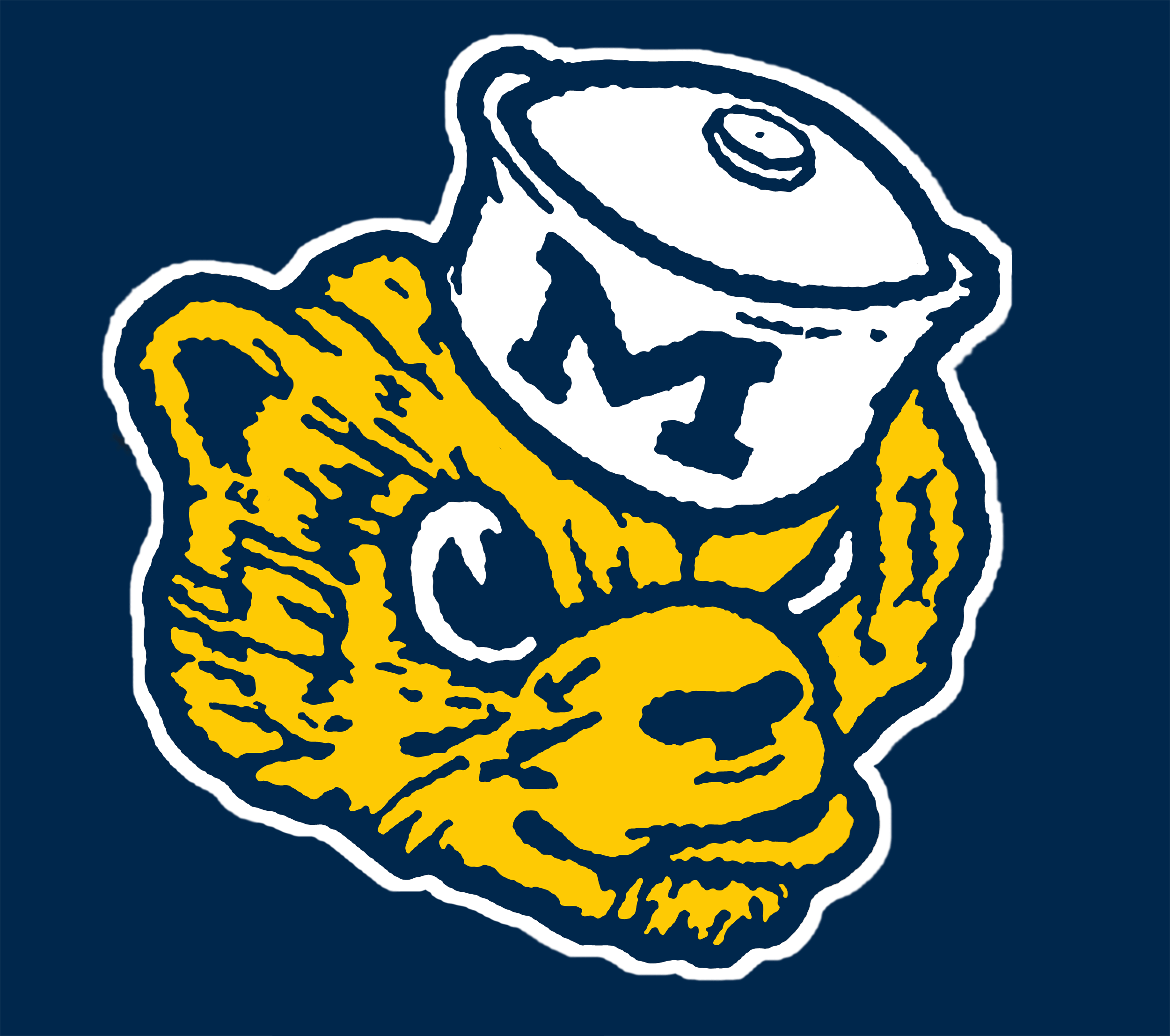 Michigan Wolverines Wallpapers Wallpaper Cave