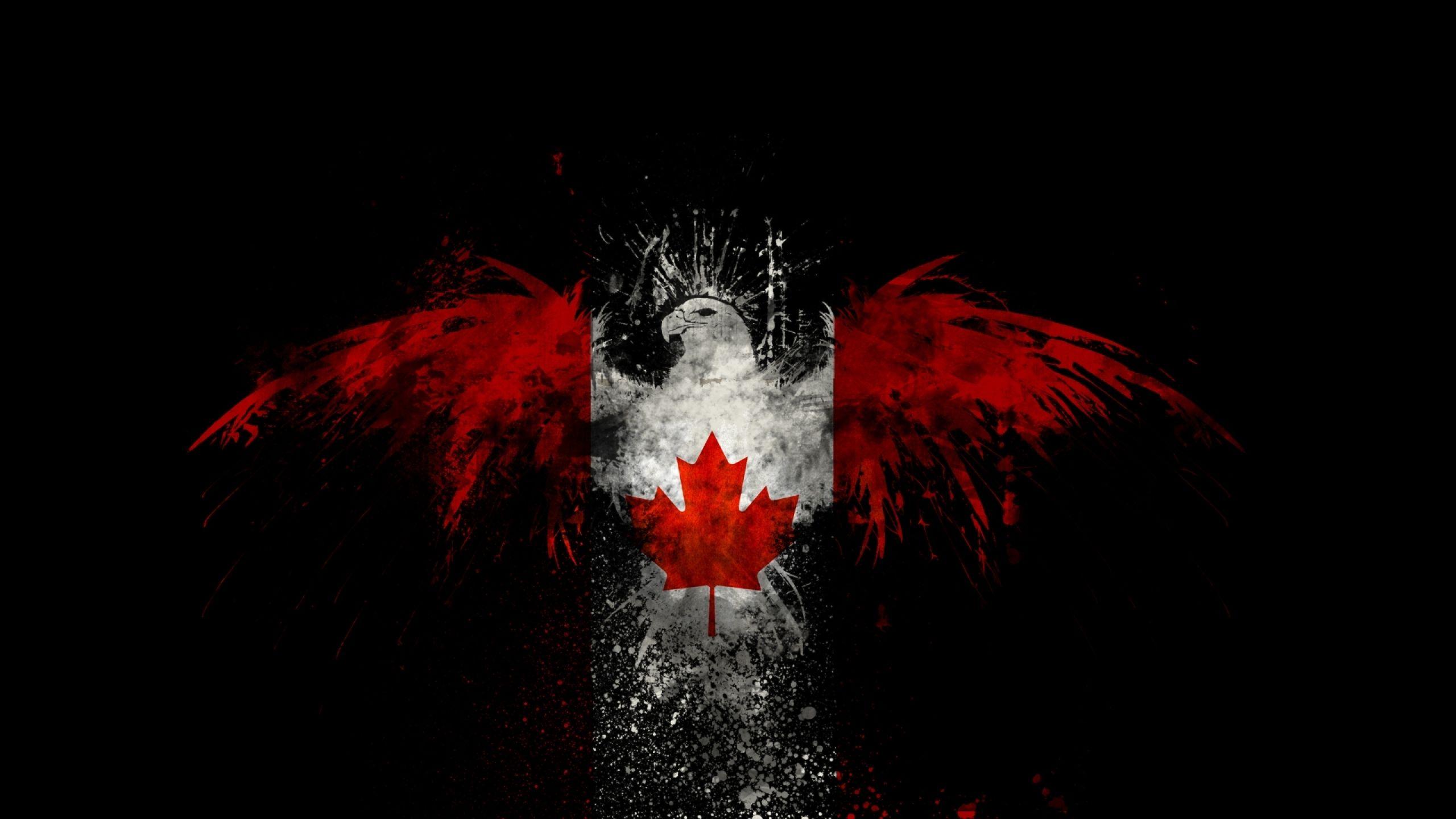 Download Wallpaper, Download 2560x1440 birds canada canadian flag