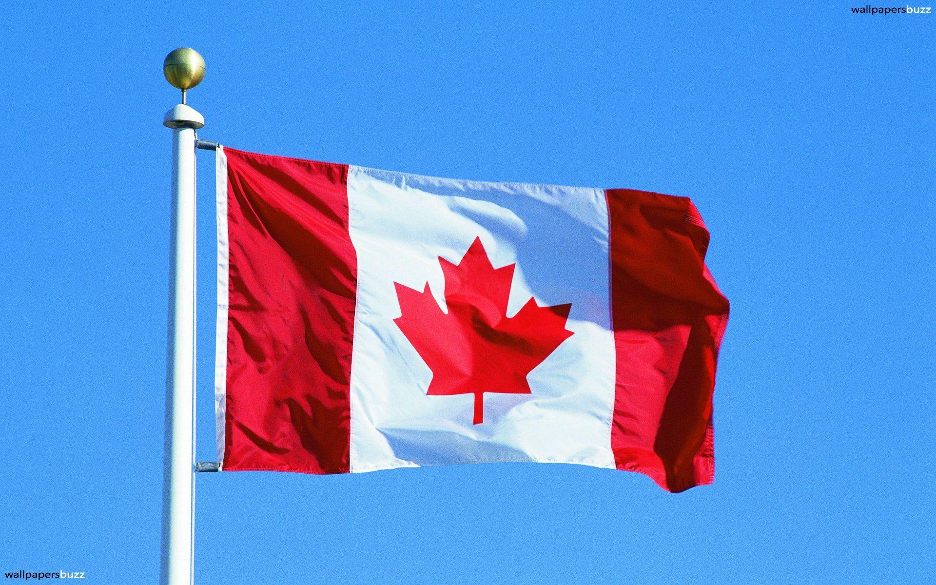 The traditional flag of Canada HD Wallpaper