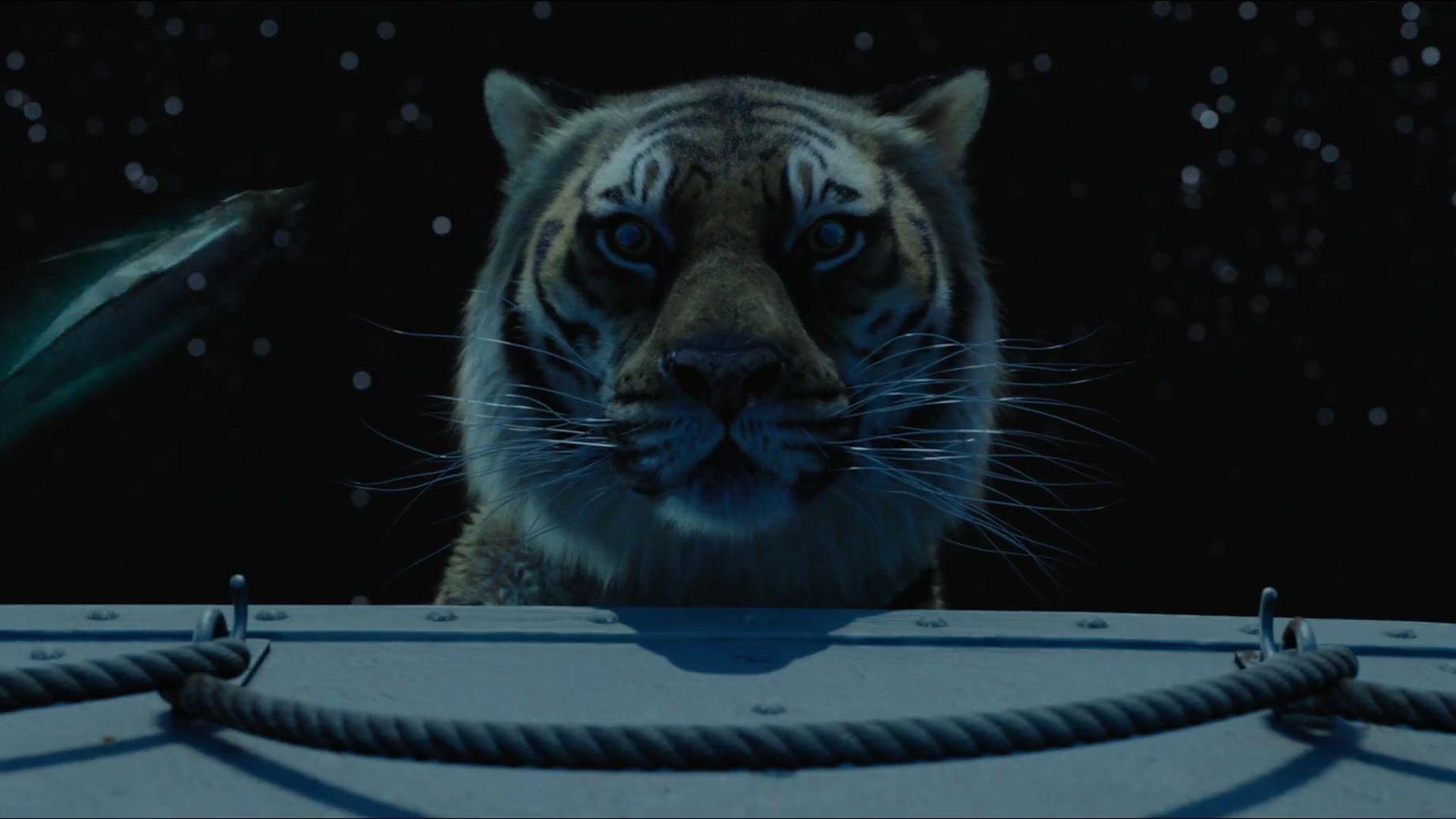 Life Of Pi Best Movie Beautiful HD Wallpaper HD Wallpaper