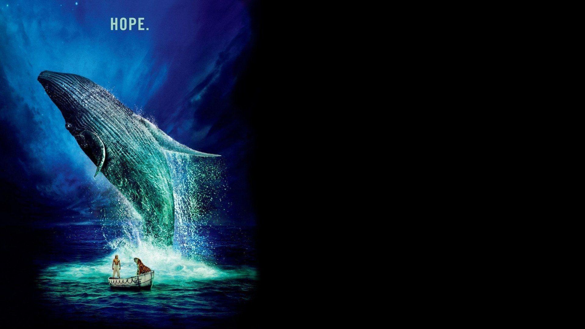 Life Of Pi Computer Wallpaper, Desktop Backgroundx1080