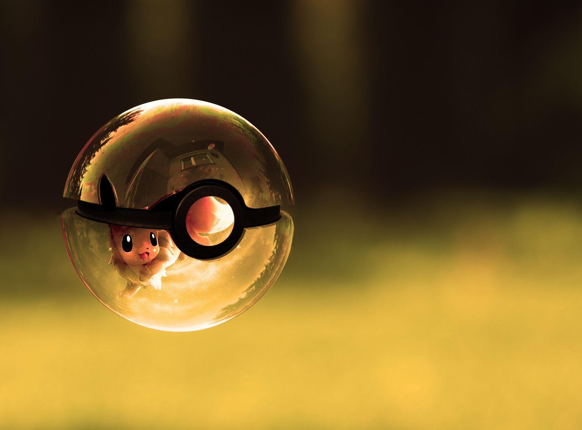 Pokeball HD Wallpaper and Background Image