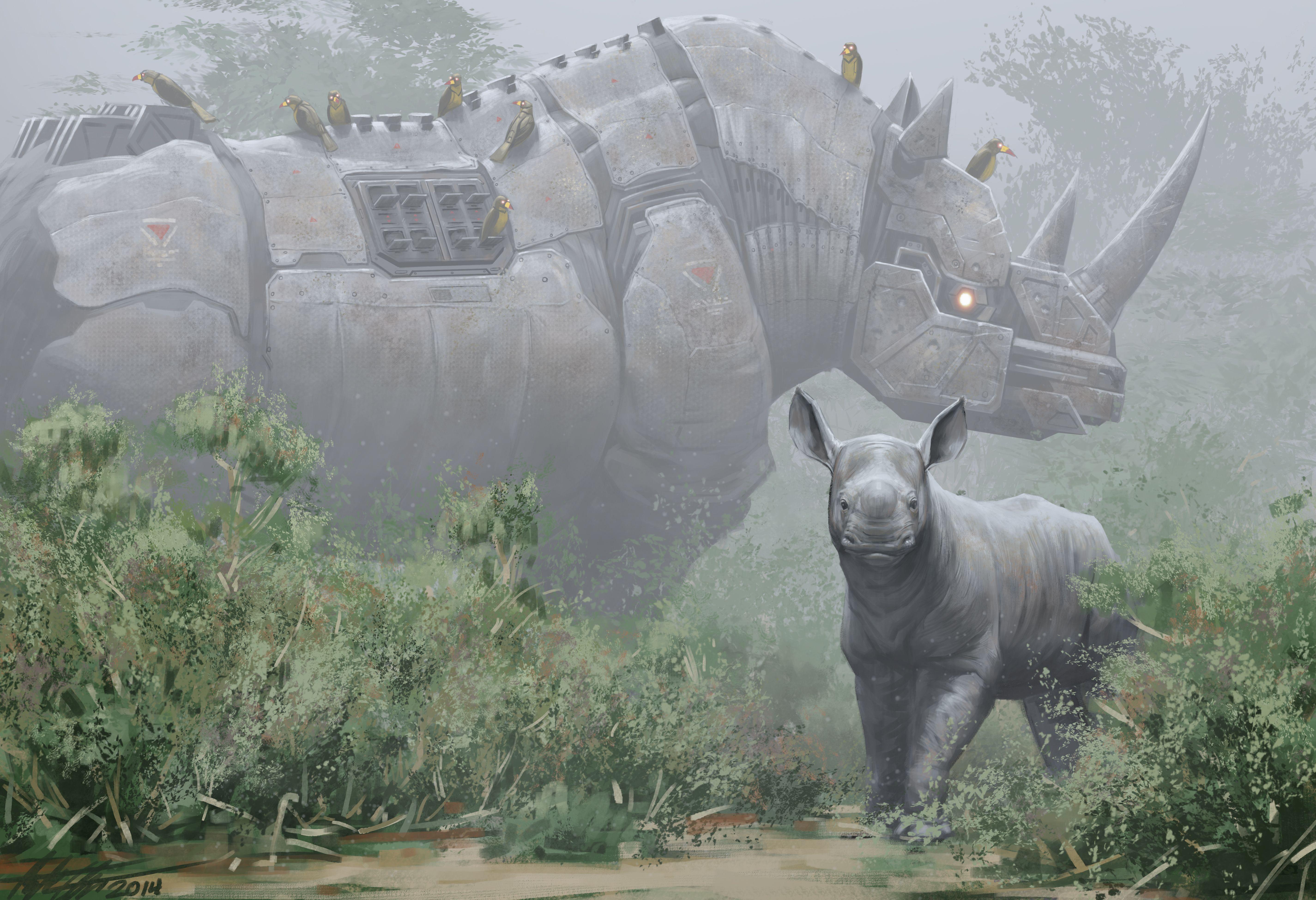 rhino wallpaper