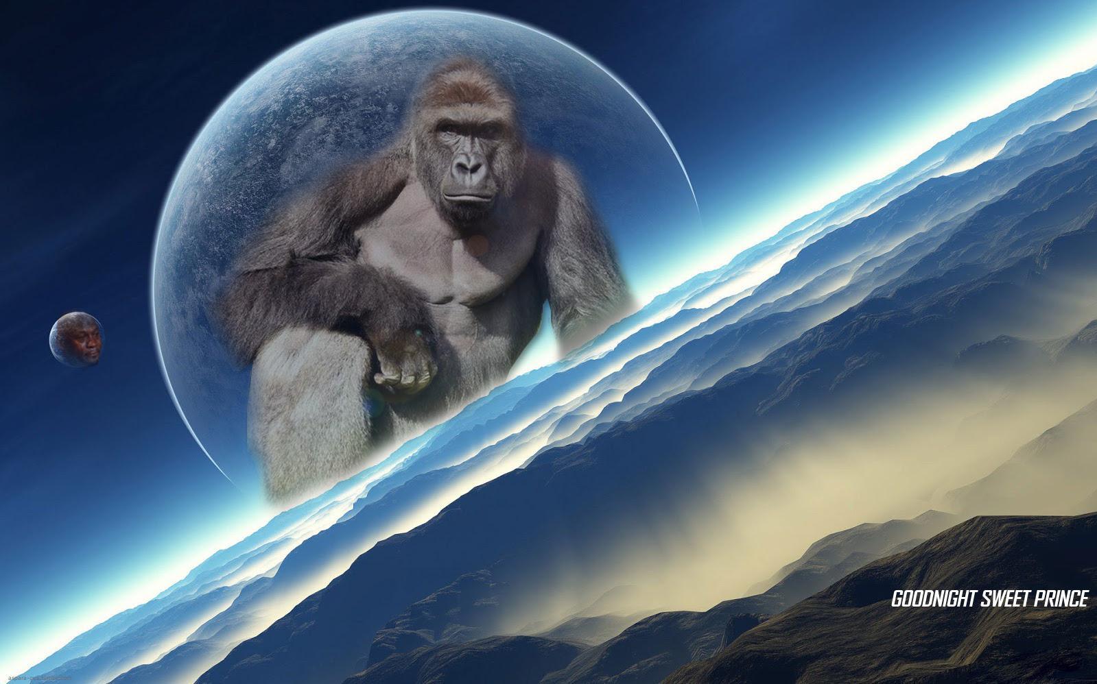 Legends Never Die.I.P. Harambe