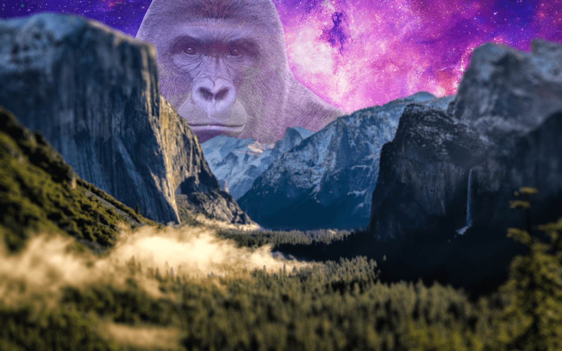 Harambe Over the Mountains