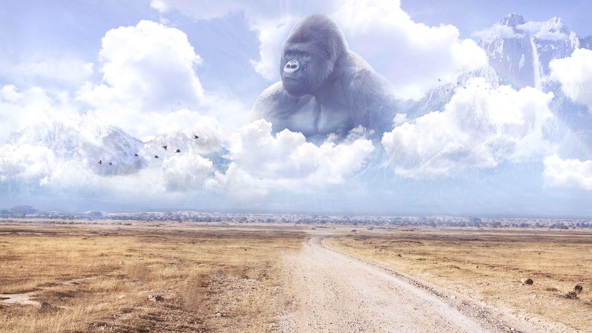 Thought of this when I saw the harambe wallpaper