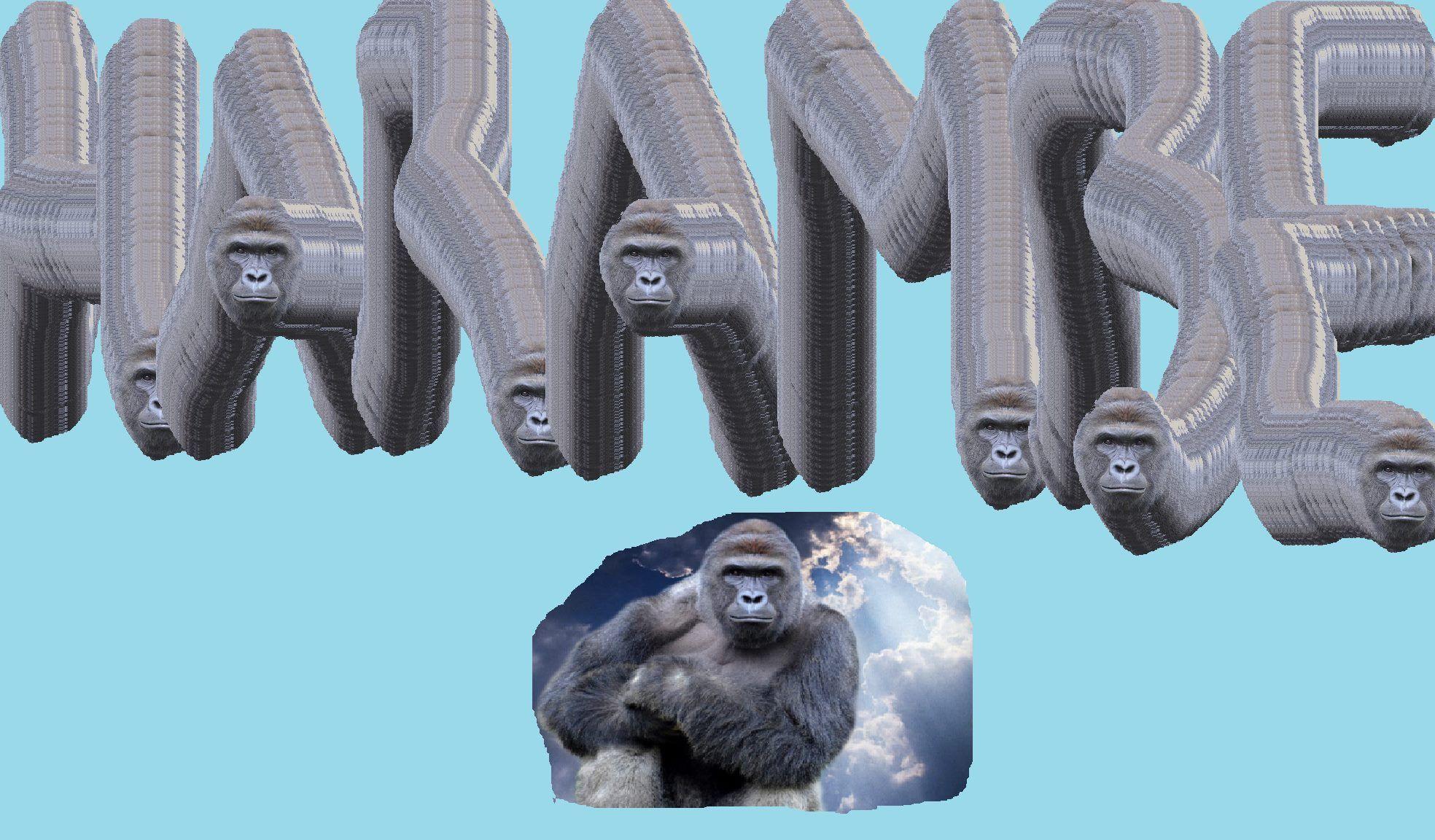 Harambe Wallpaper Related Keywords & Suggestions