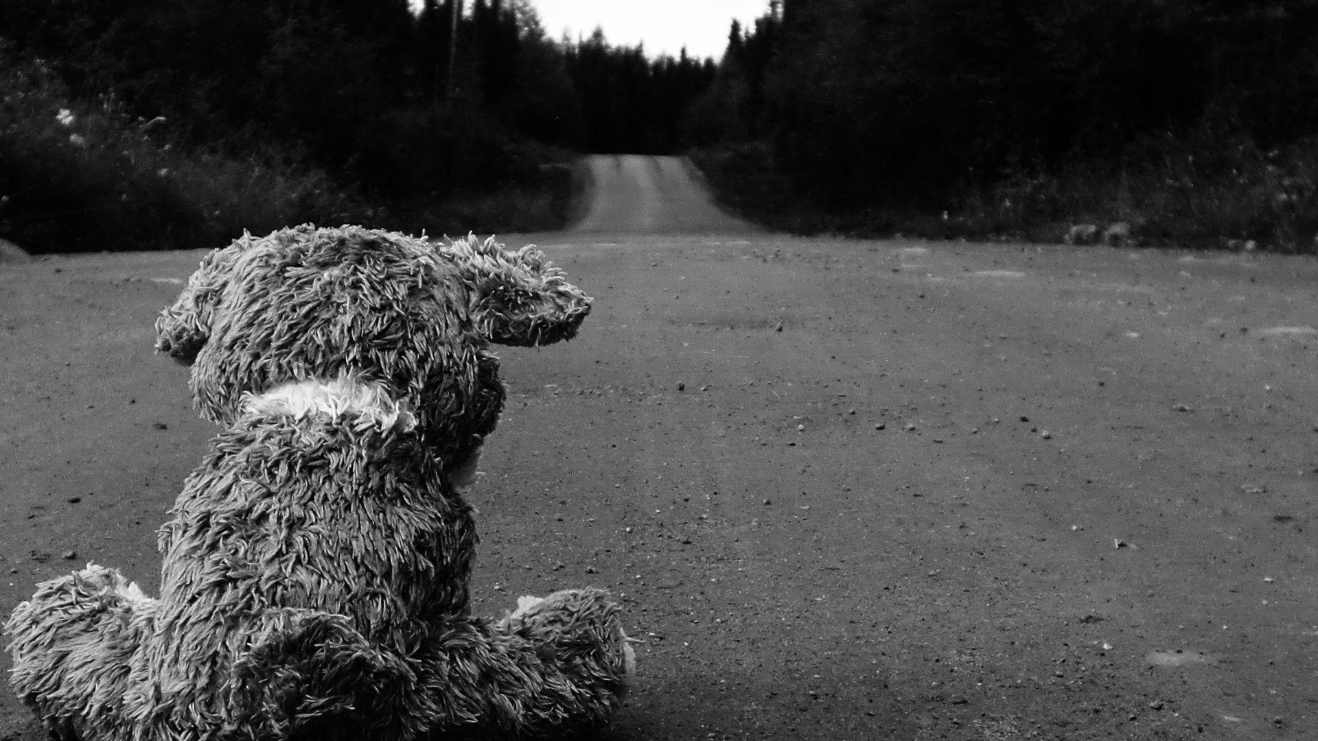 Black And White, Image, Picture, Bear, Different