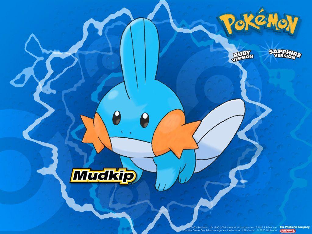Mudkip (Pokémon) HD Wallpaper and Background Image