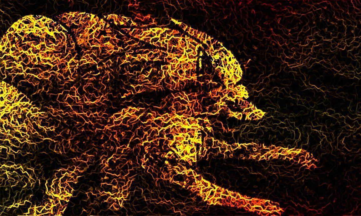 High Resolution Ninetales Wallpaper, Hildegard Basill