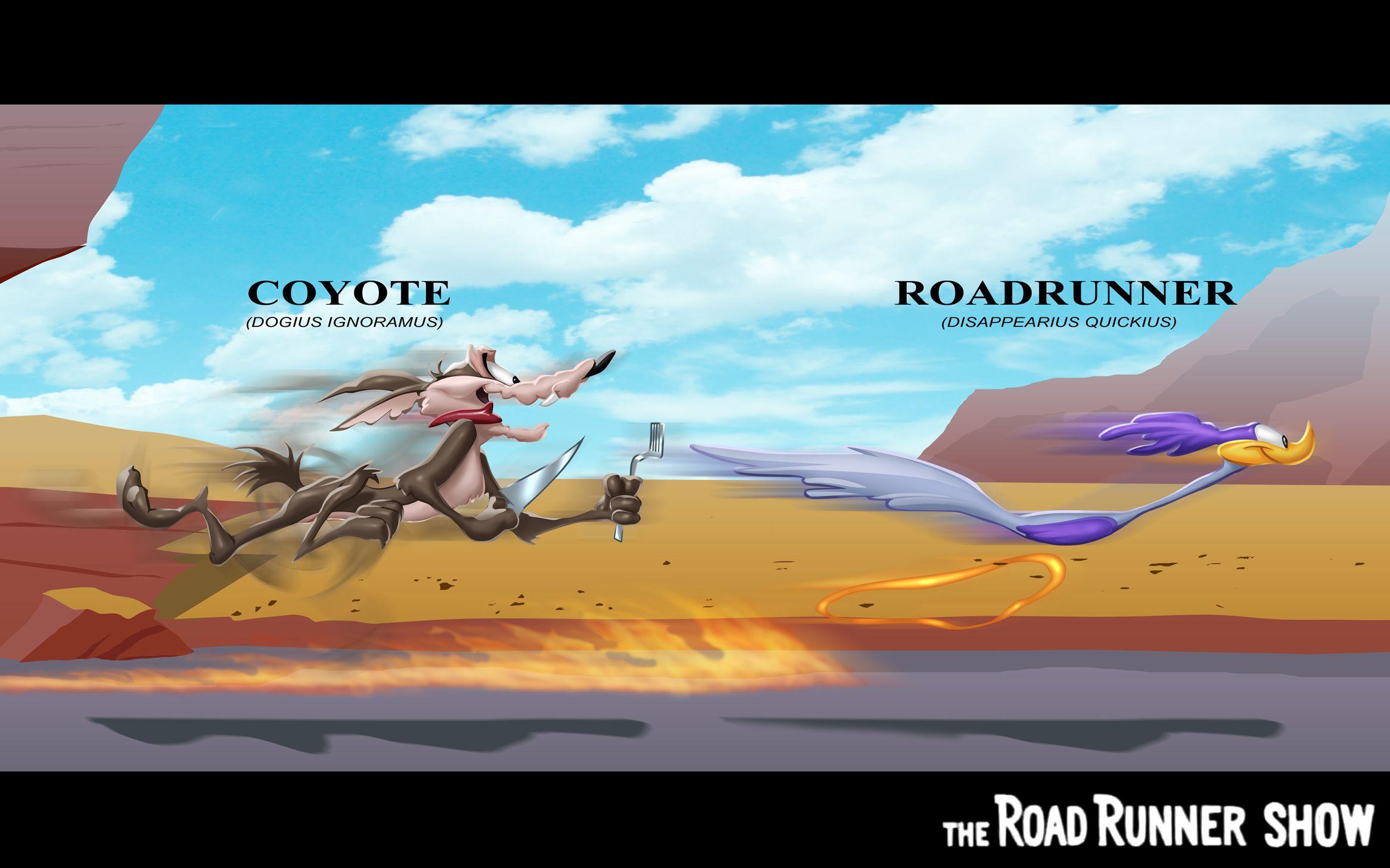 Wile E. Coyote And The Road Runner HD Wallpaper. Background