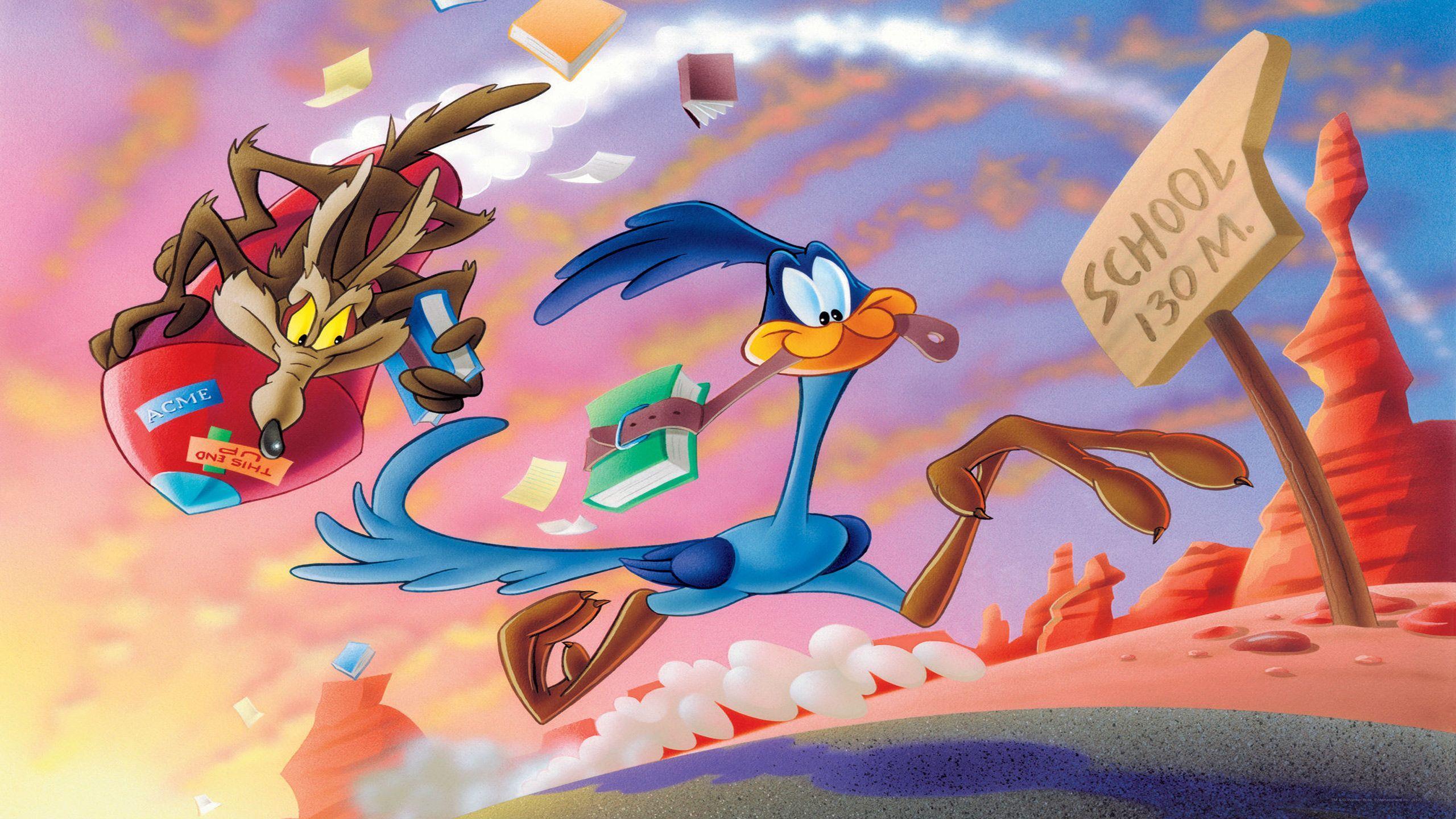Looney Tunes Coyote And The Road Runner Wallpaper. Free Computer