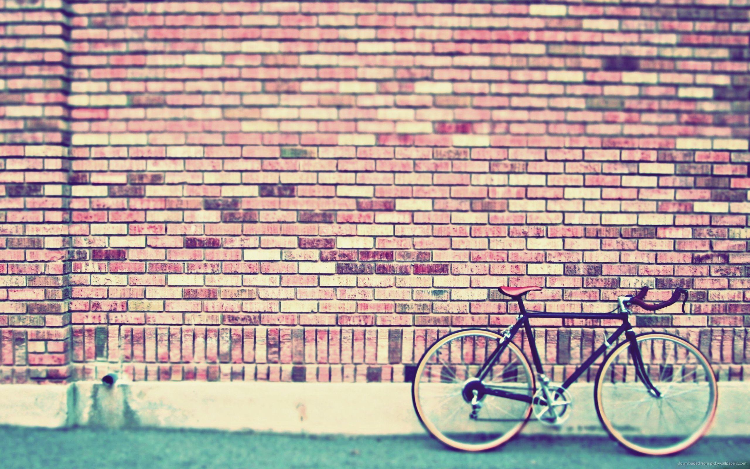 Download 2560x1600 Fixed Gear Bike By The Wall Wallpaper