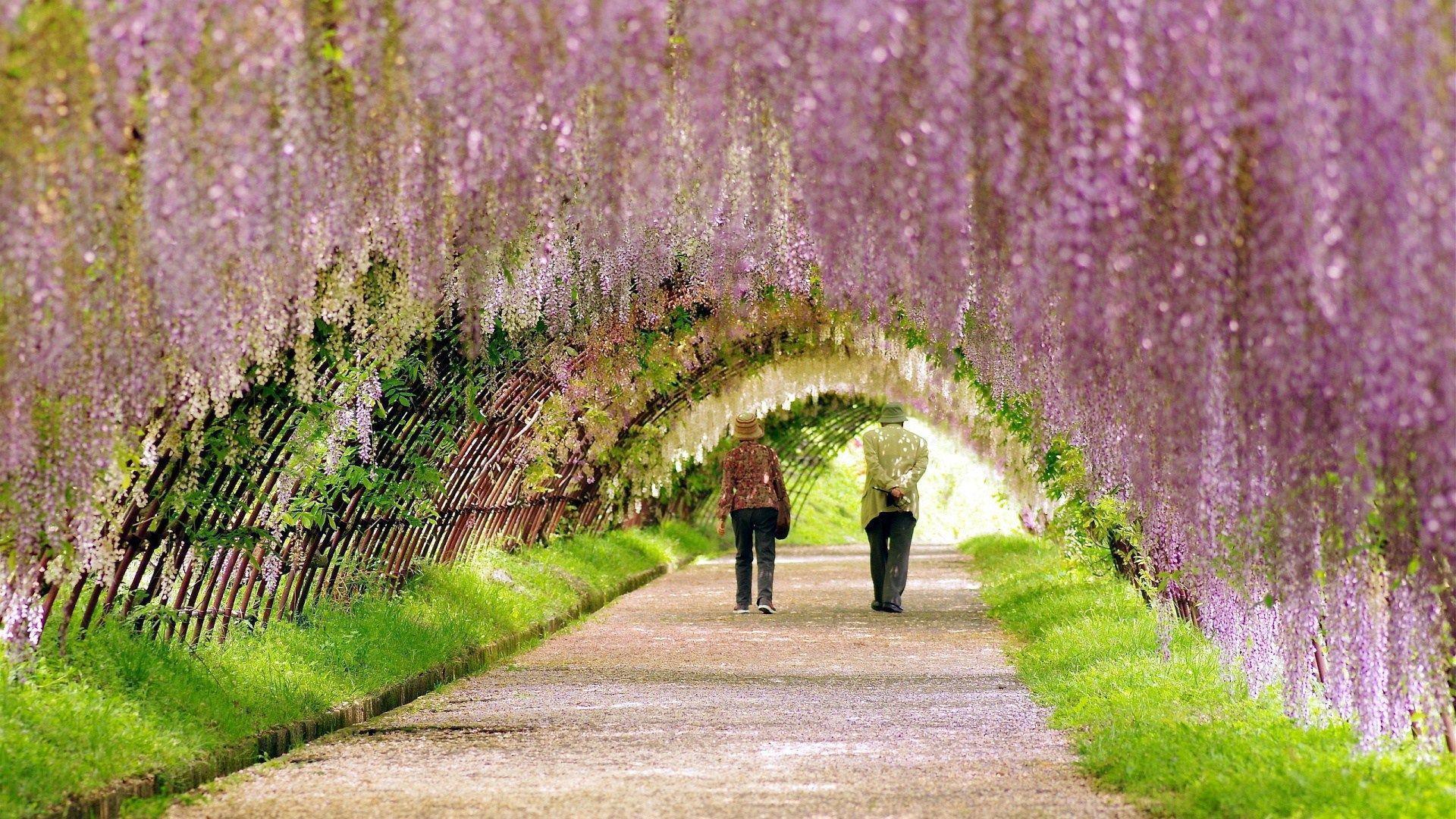 Spring season wallpaper 1920x1080- Season of poets HD Wallpaper