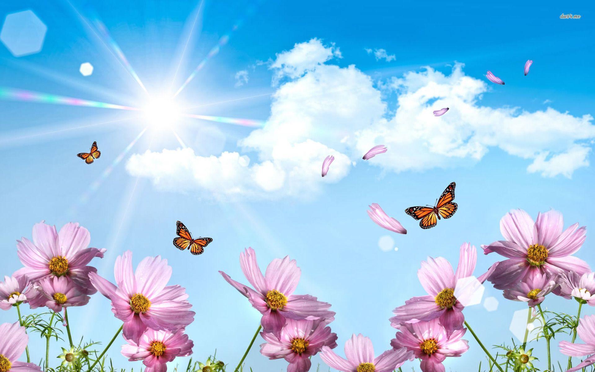 Beautiful Spring image download