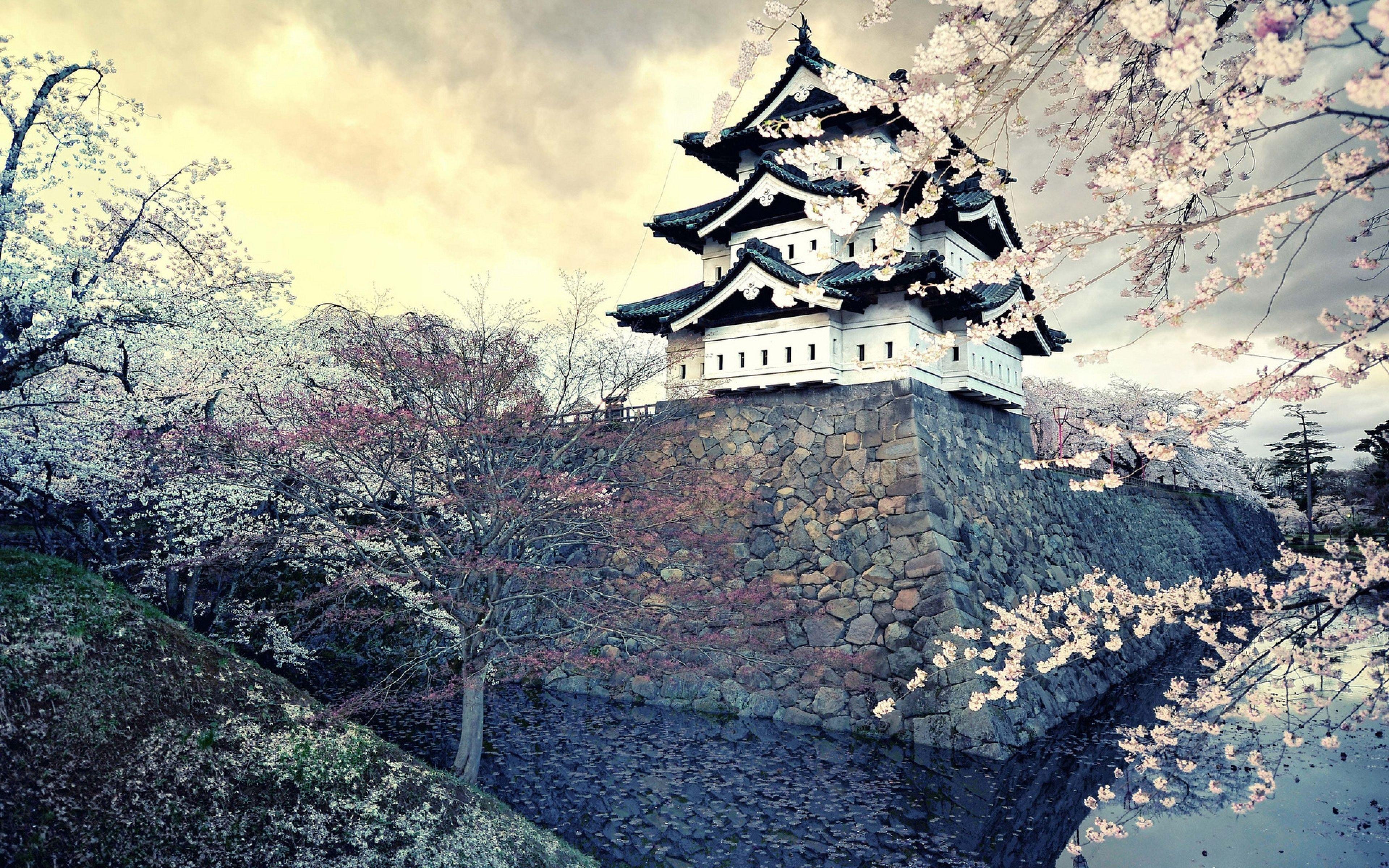 spring wallpaper. Download HD Wallpaperhd wallpaper