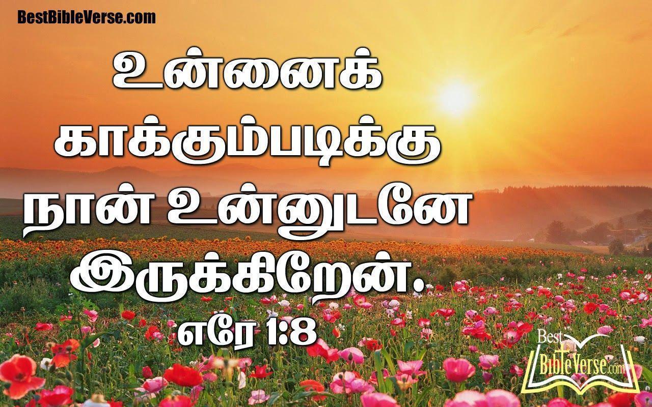 about Tamil Bible Words