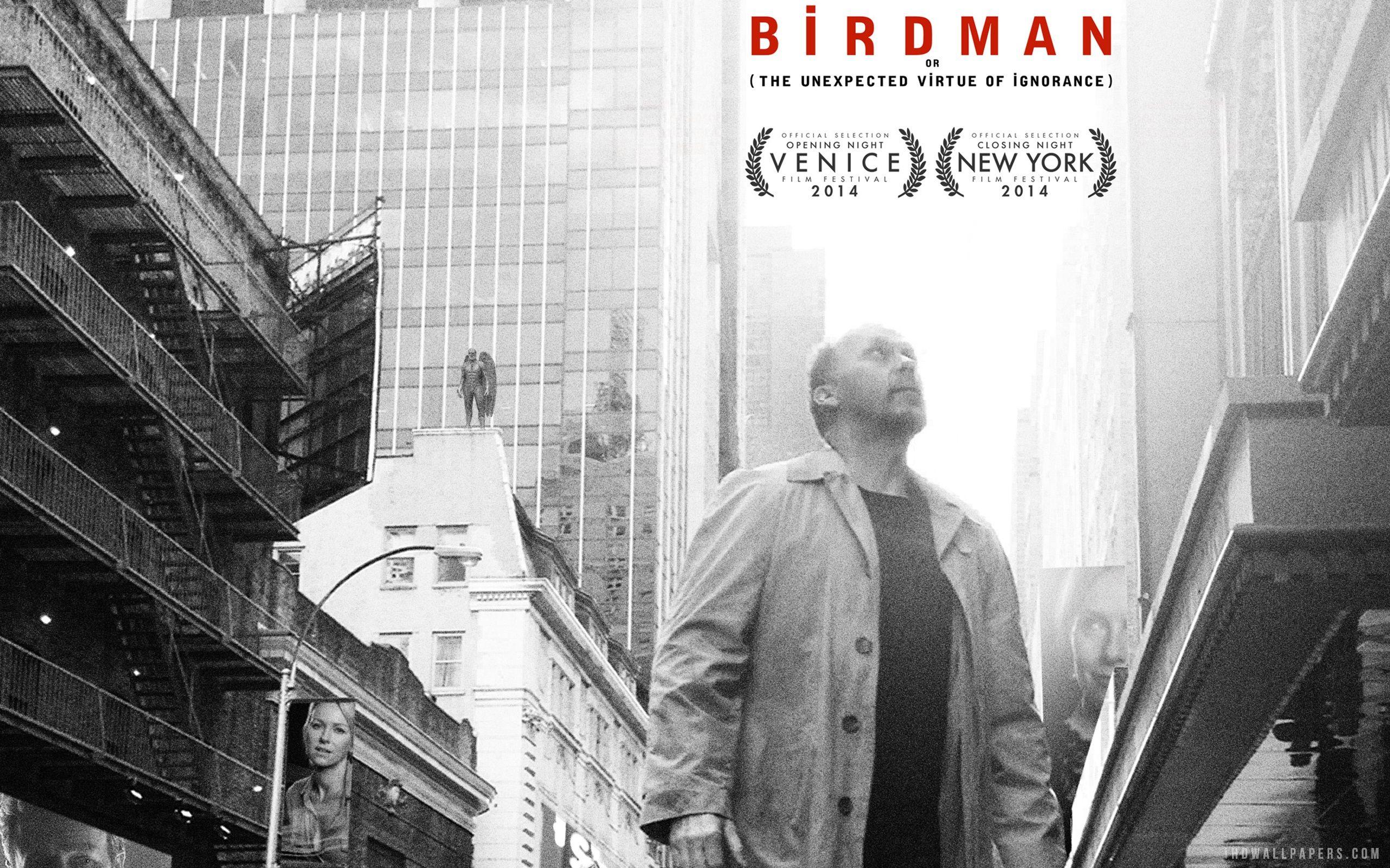 Collection of Birdman Wallpaper on HDWallpaper