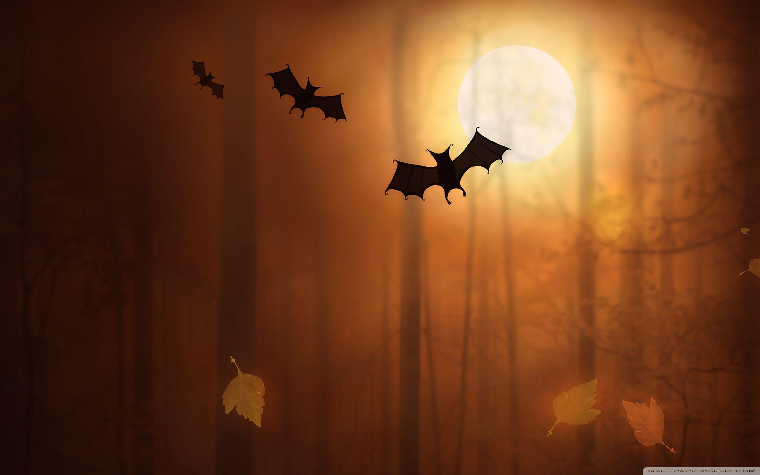 Halloween Bats Ultra HD Desktop Background Wallpaper for: Multi Display, Dual Monitor, Tablet