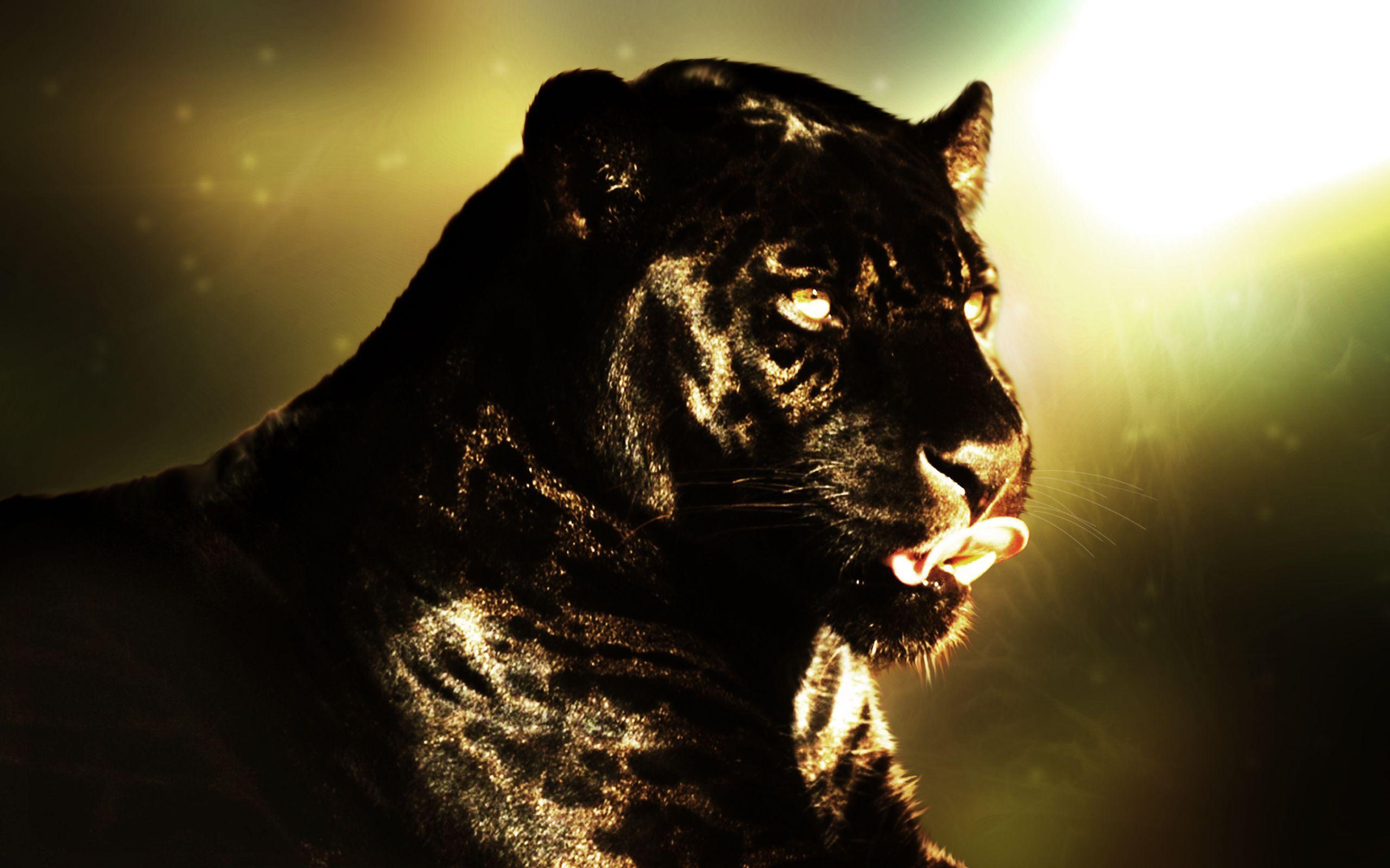 Black Panther HD Wallpaper. Background