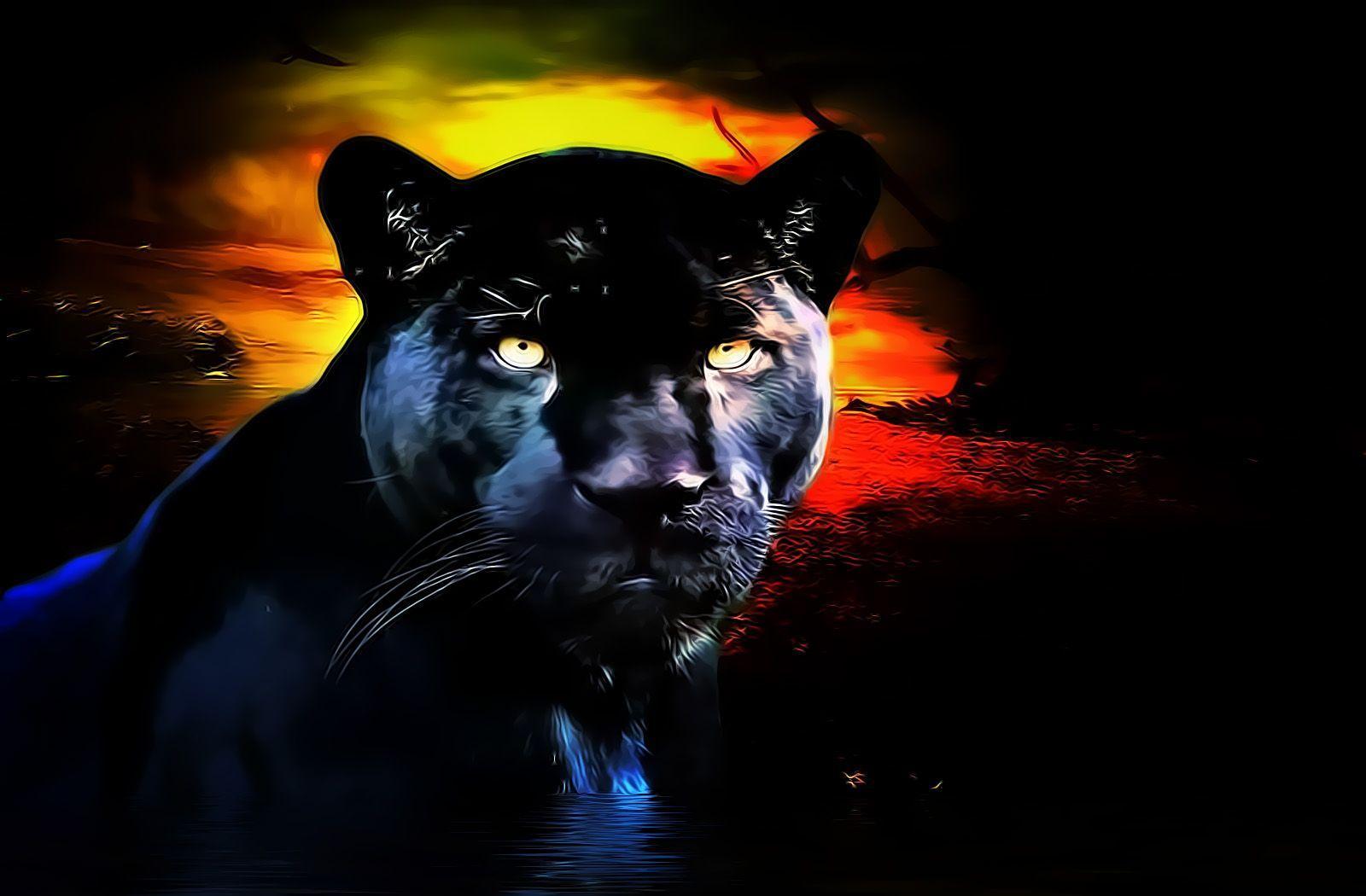 Kool HD Desktop Black Panther Wallpaper. cool stuff