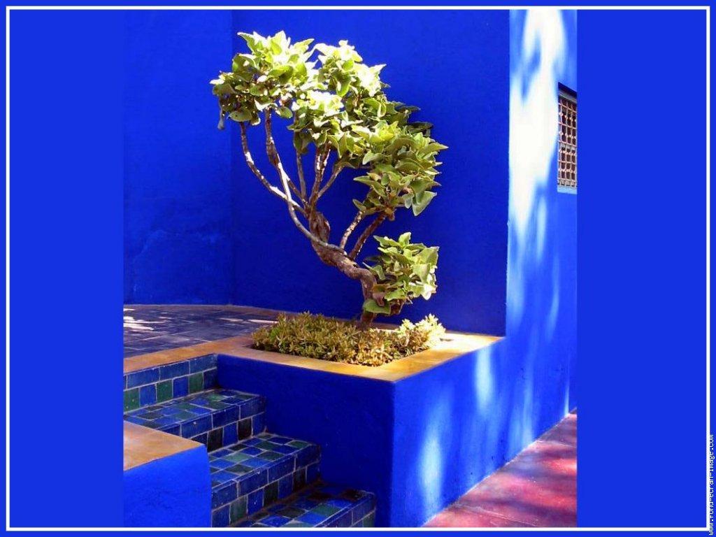 image about jardin majorelle. Gardens, Moroccan