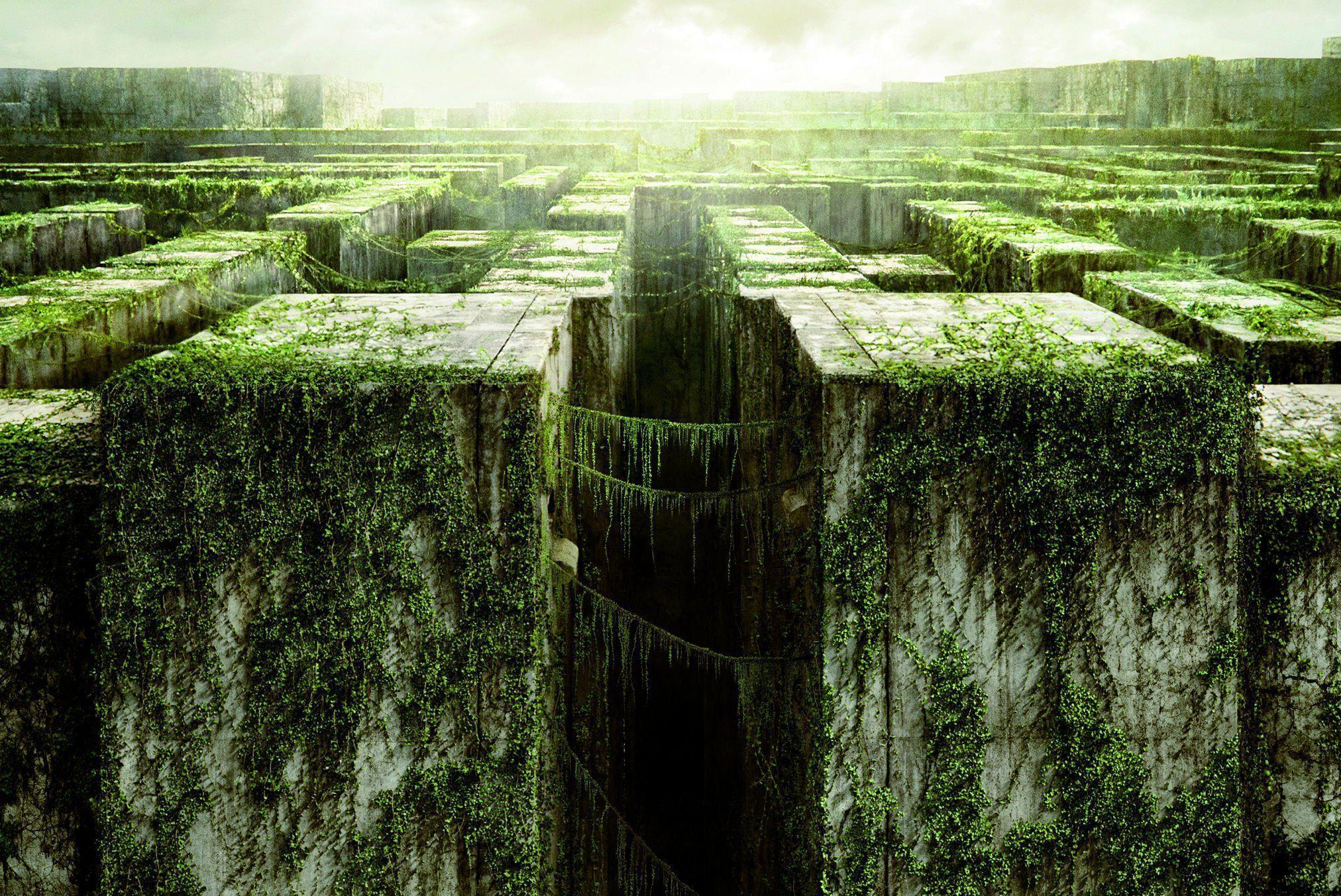 HD The Maze Runner Movie Wallpaper