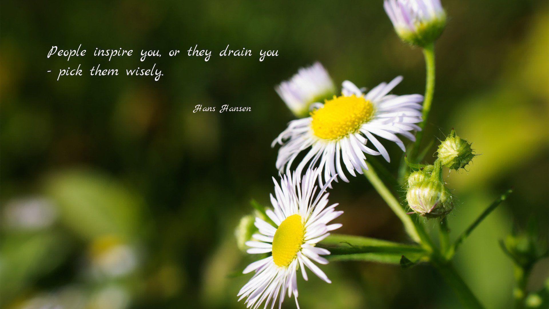 People Inspire You Or They Drain You. Wallpaper