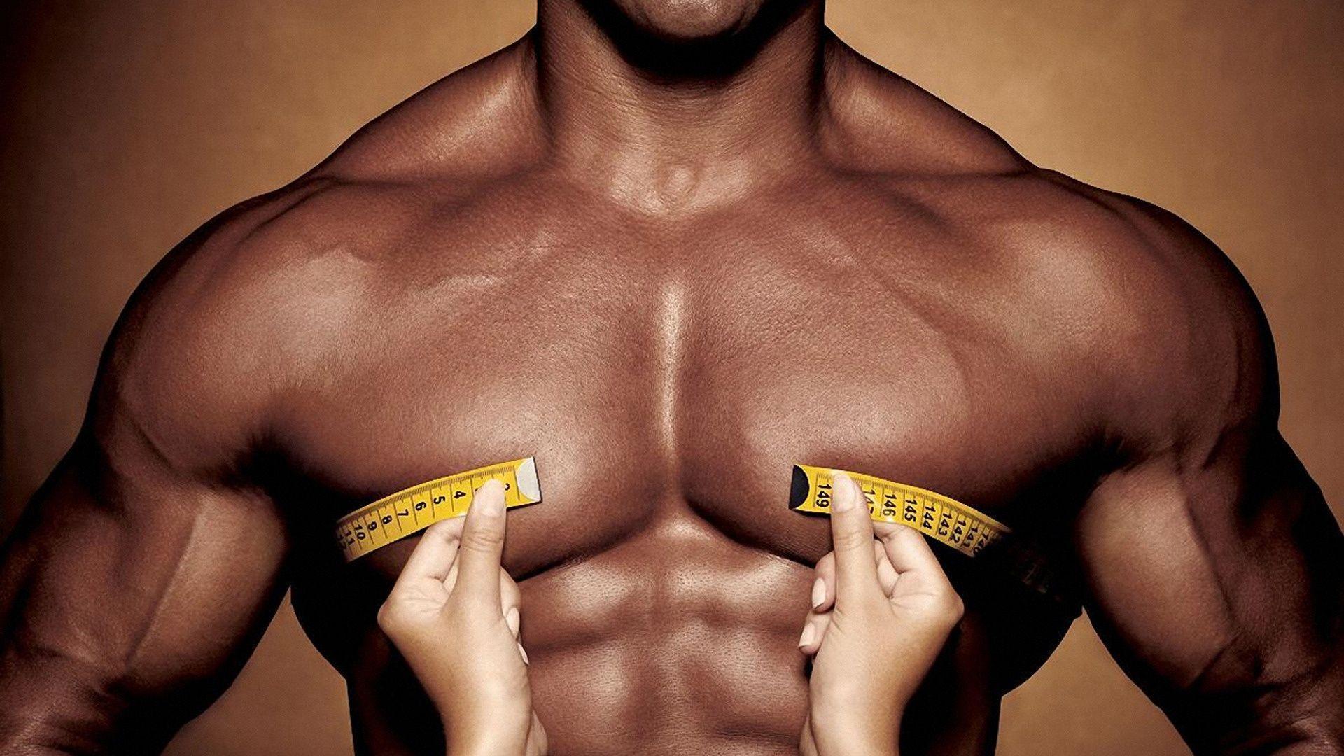 Body muscles torso Wallpaper