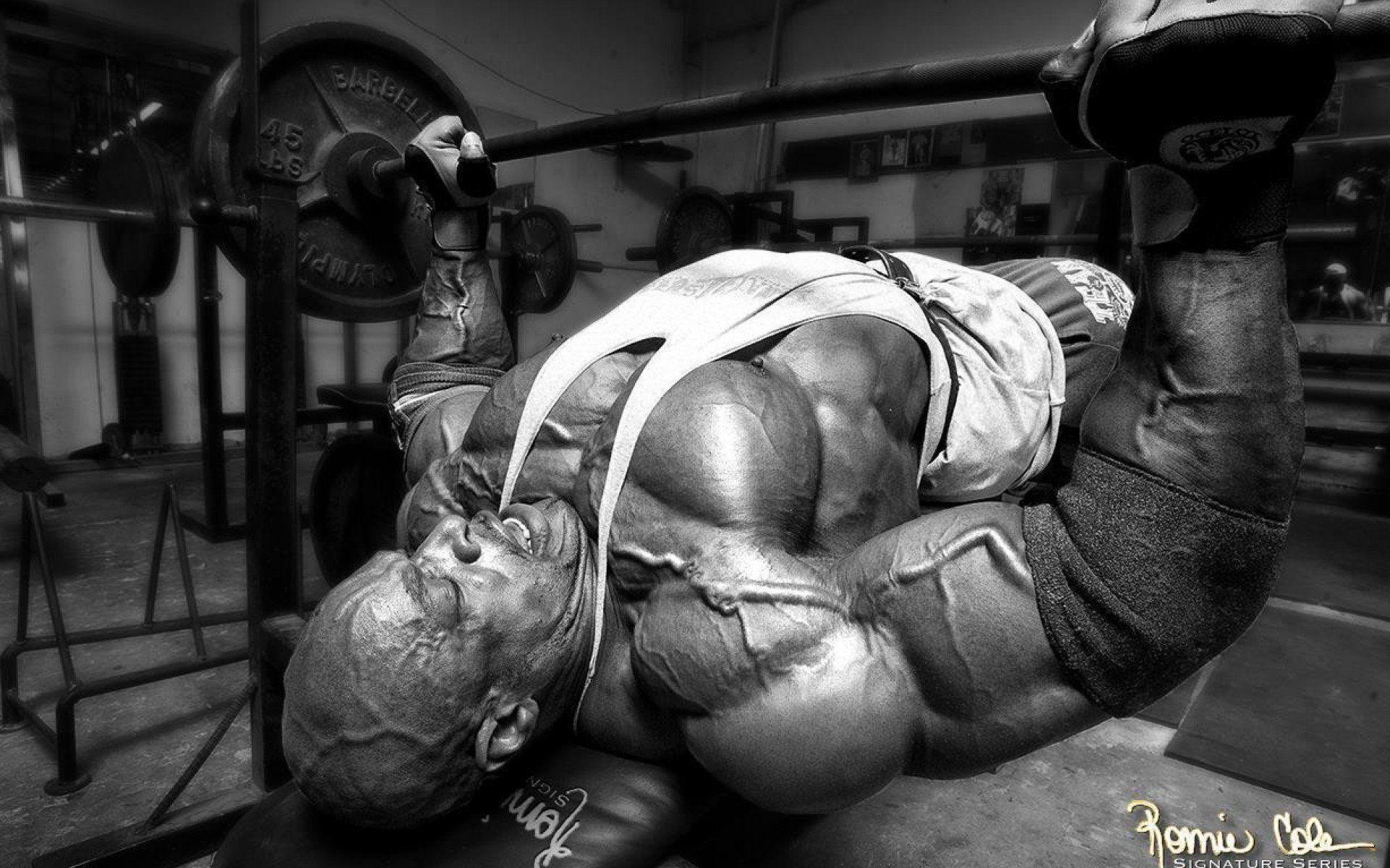 Anatomy human muscles bodybuilding scheme training body Health