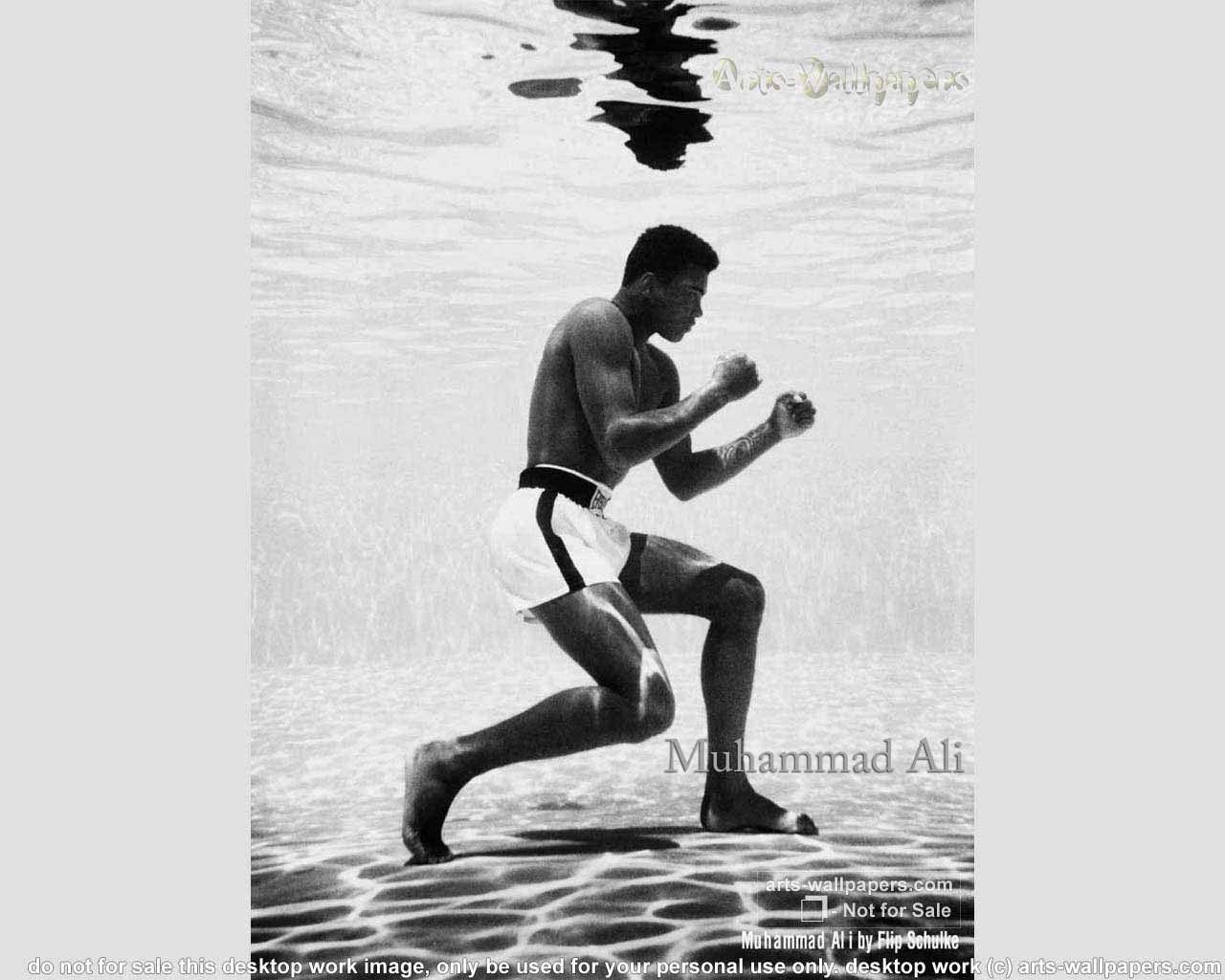Muhammad Ali 01 wallpaper