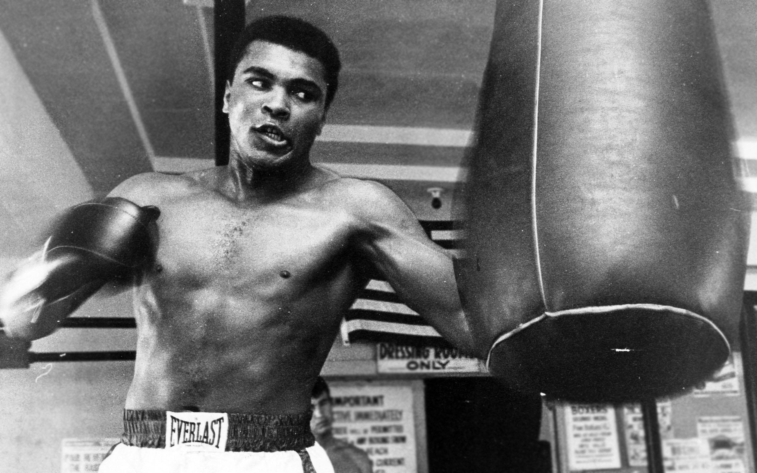 Muhammad Ali wallpaper