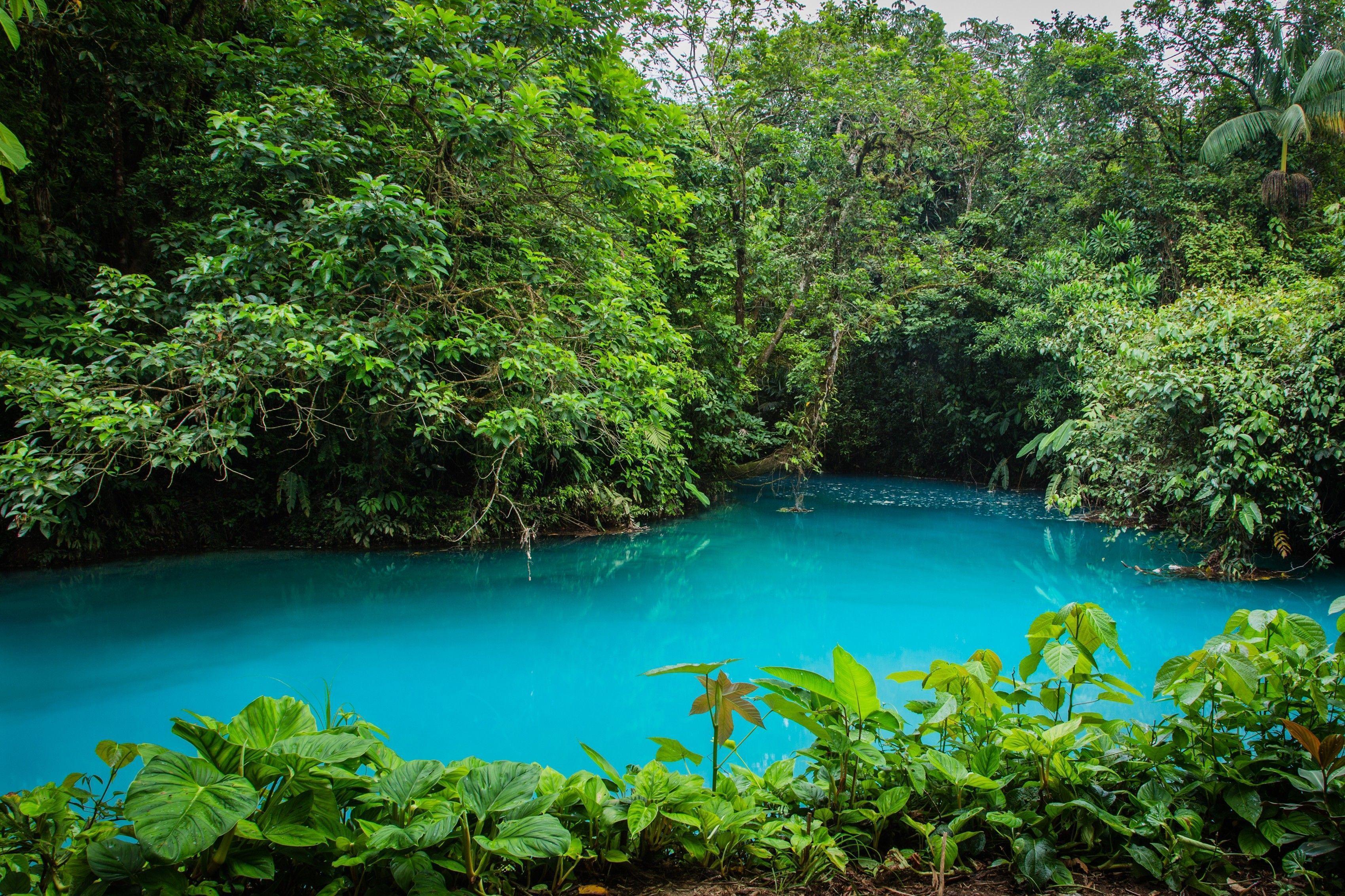 Costa Rica National Park wallpaper and image