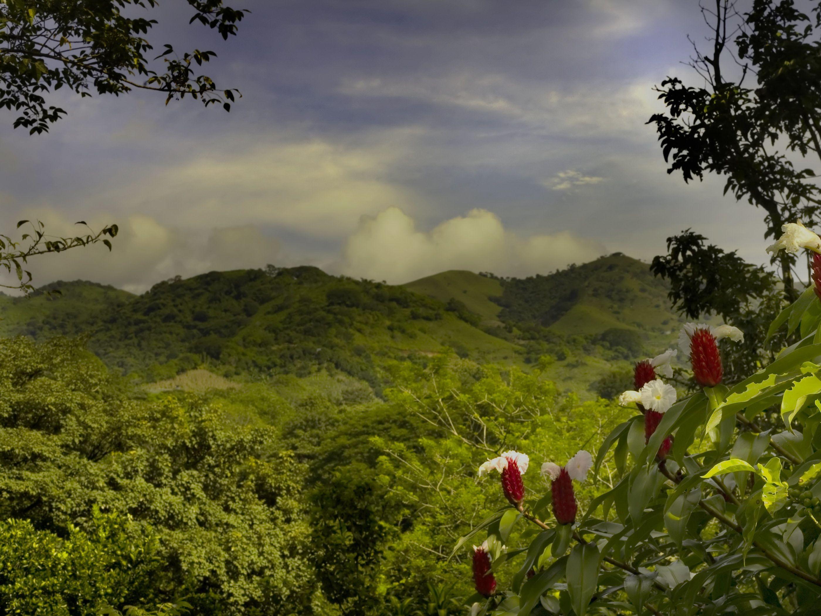 Landscape at Costa rica wallpaper and image