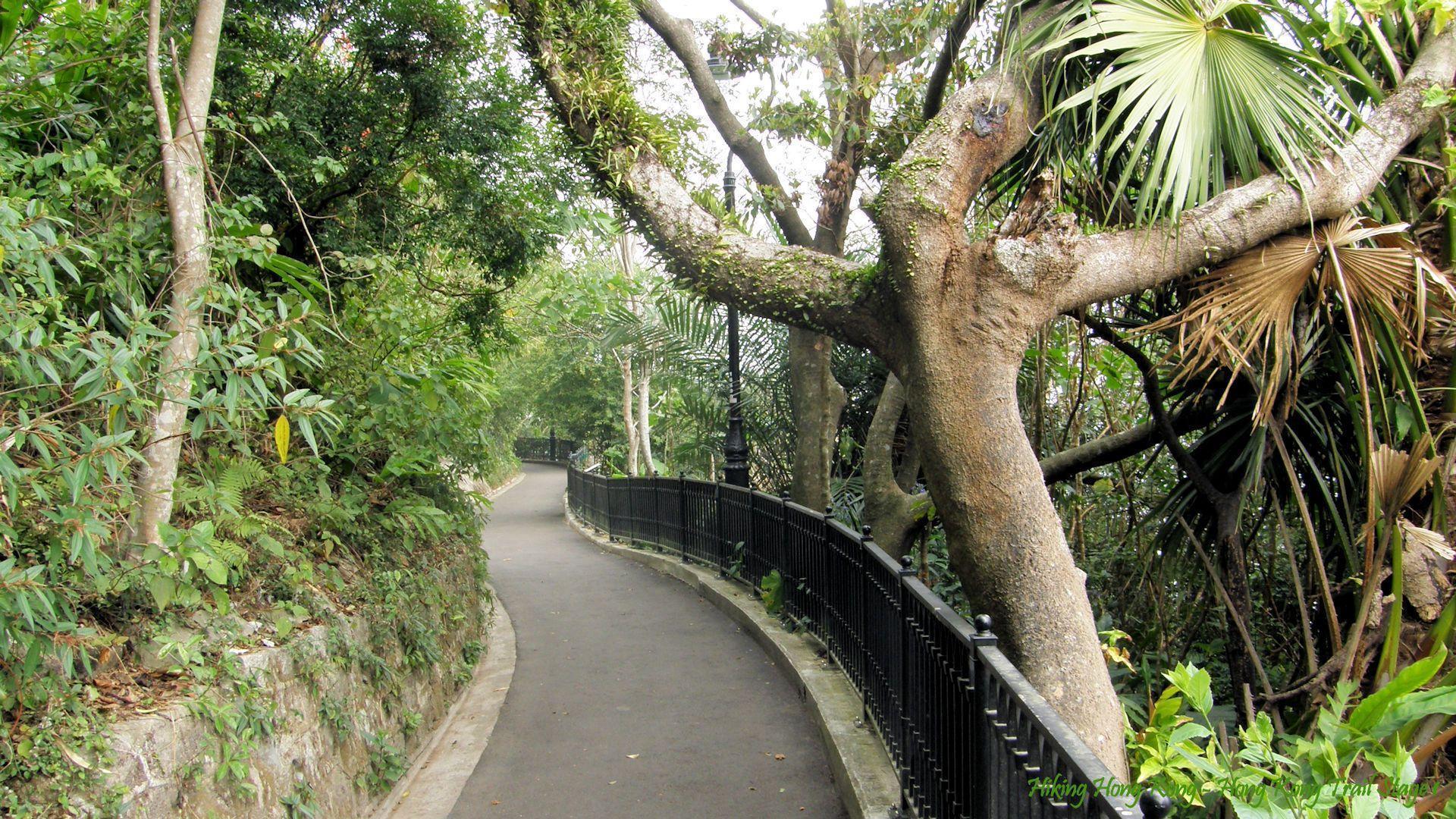 Hong Kong Trail Wallpaper Hong Kong