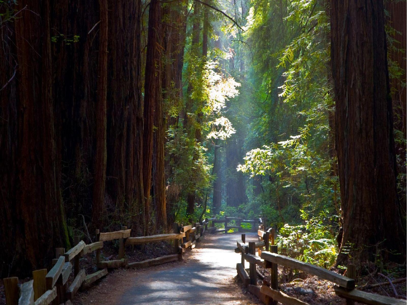 Trail Wallpapers - Wallpaper Cave