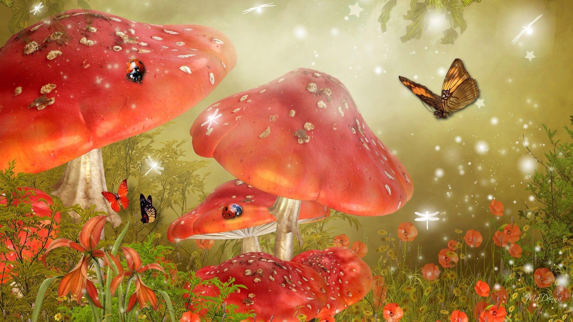Mystical Background. HD Mystical Mushrooms Wallpaper. Fairies